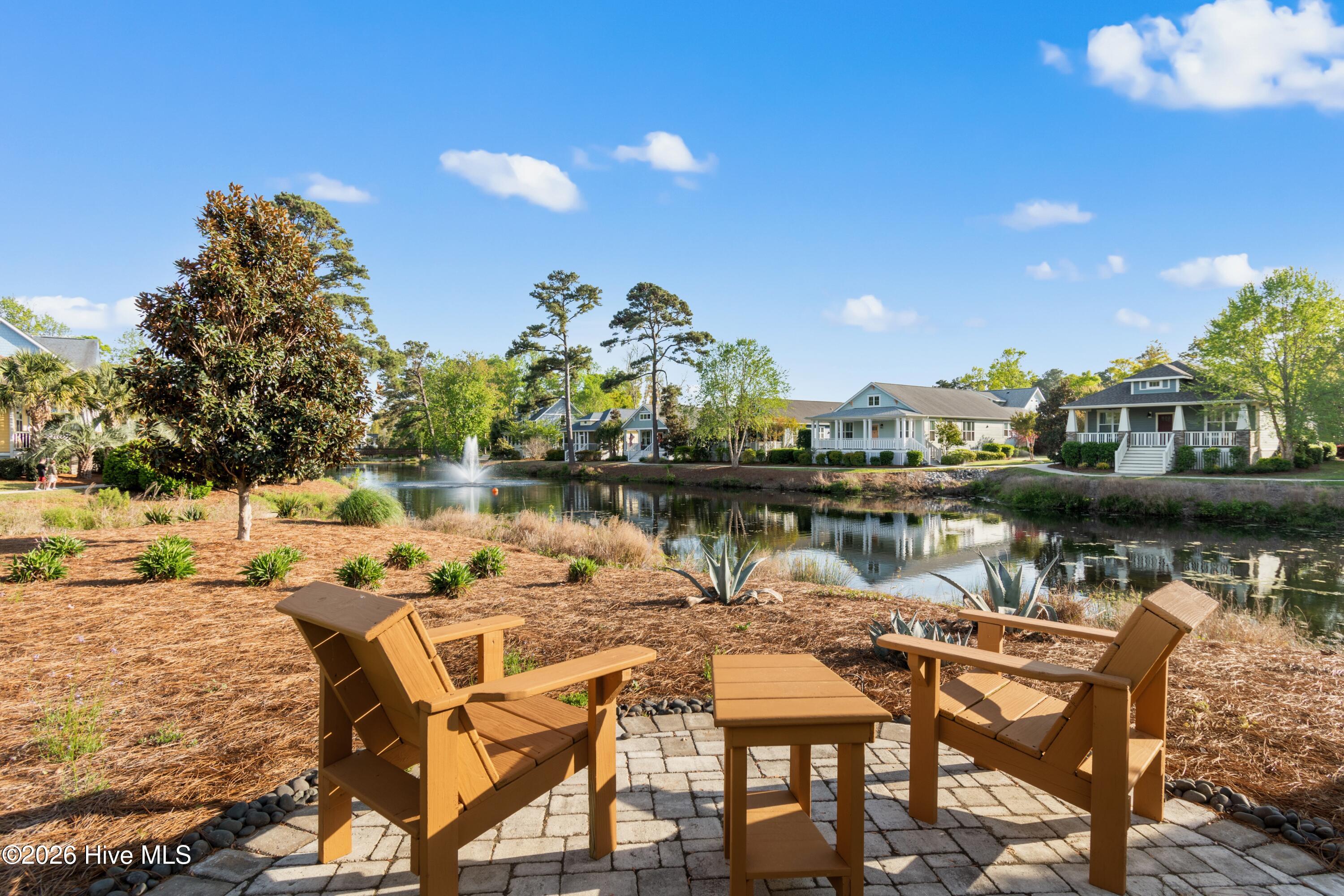 100567092 | Photo 31