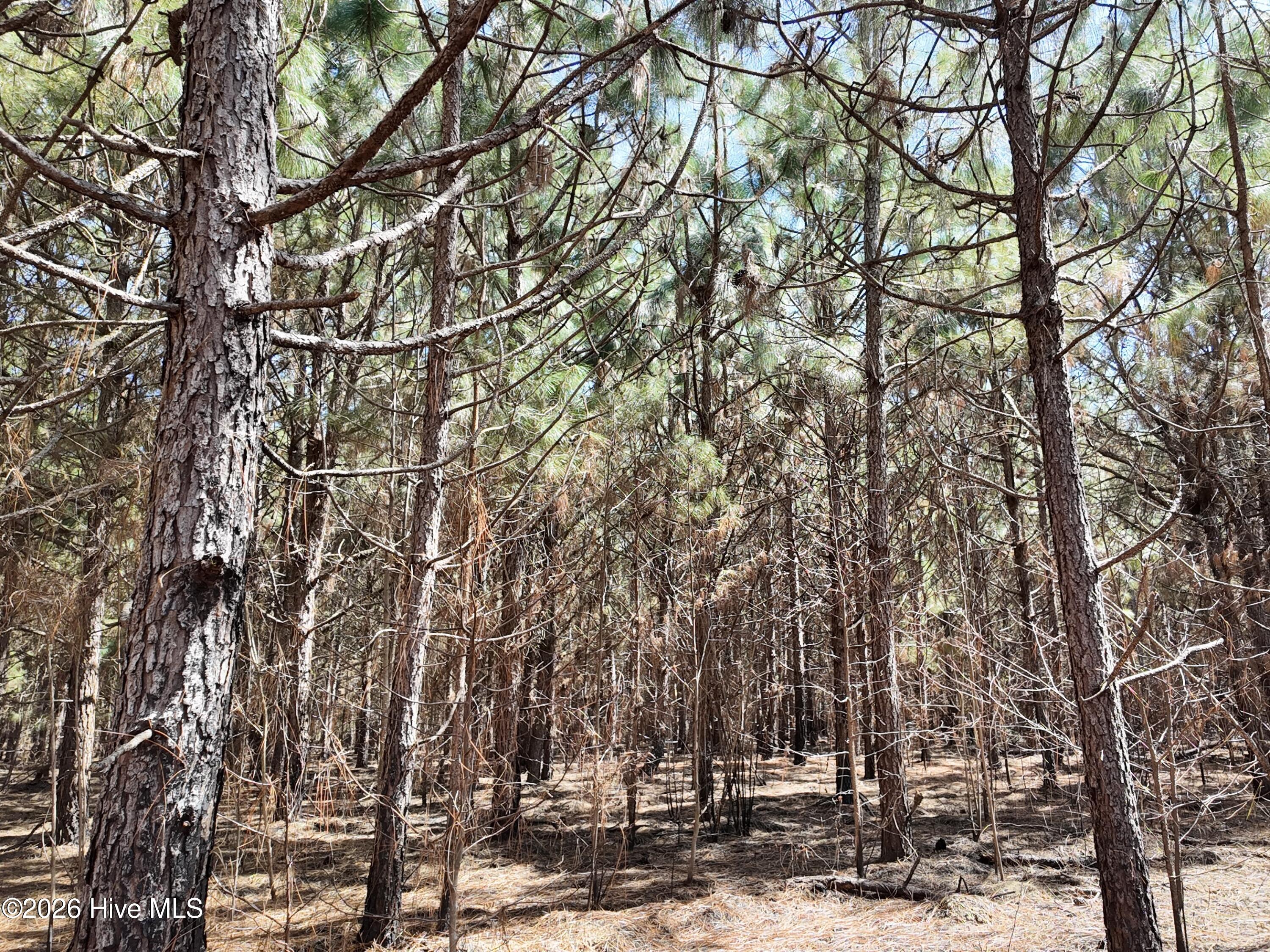 100560557 | Photo 32