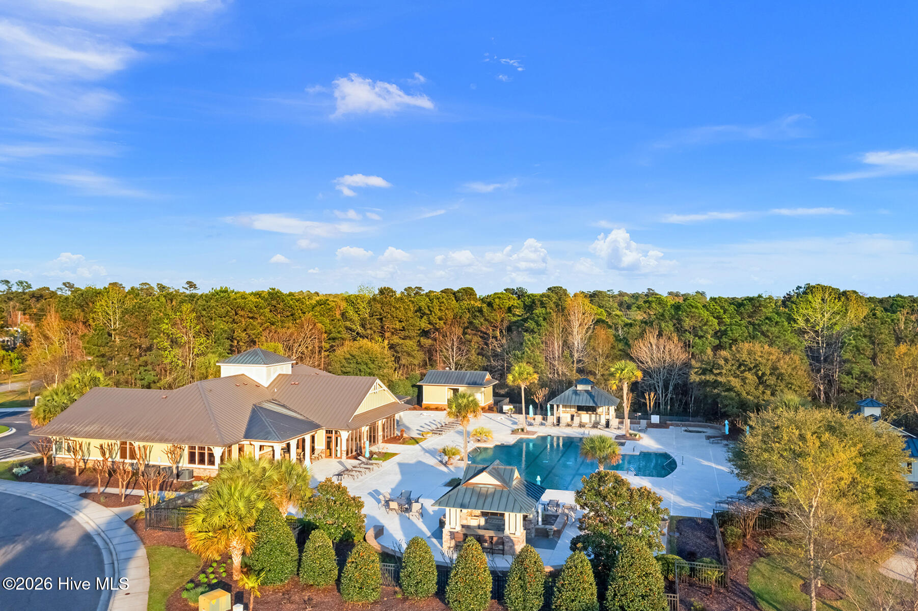 100563868 | Photo 30