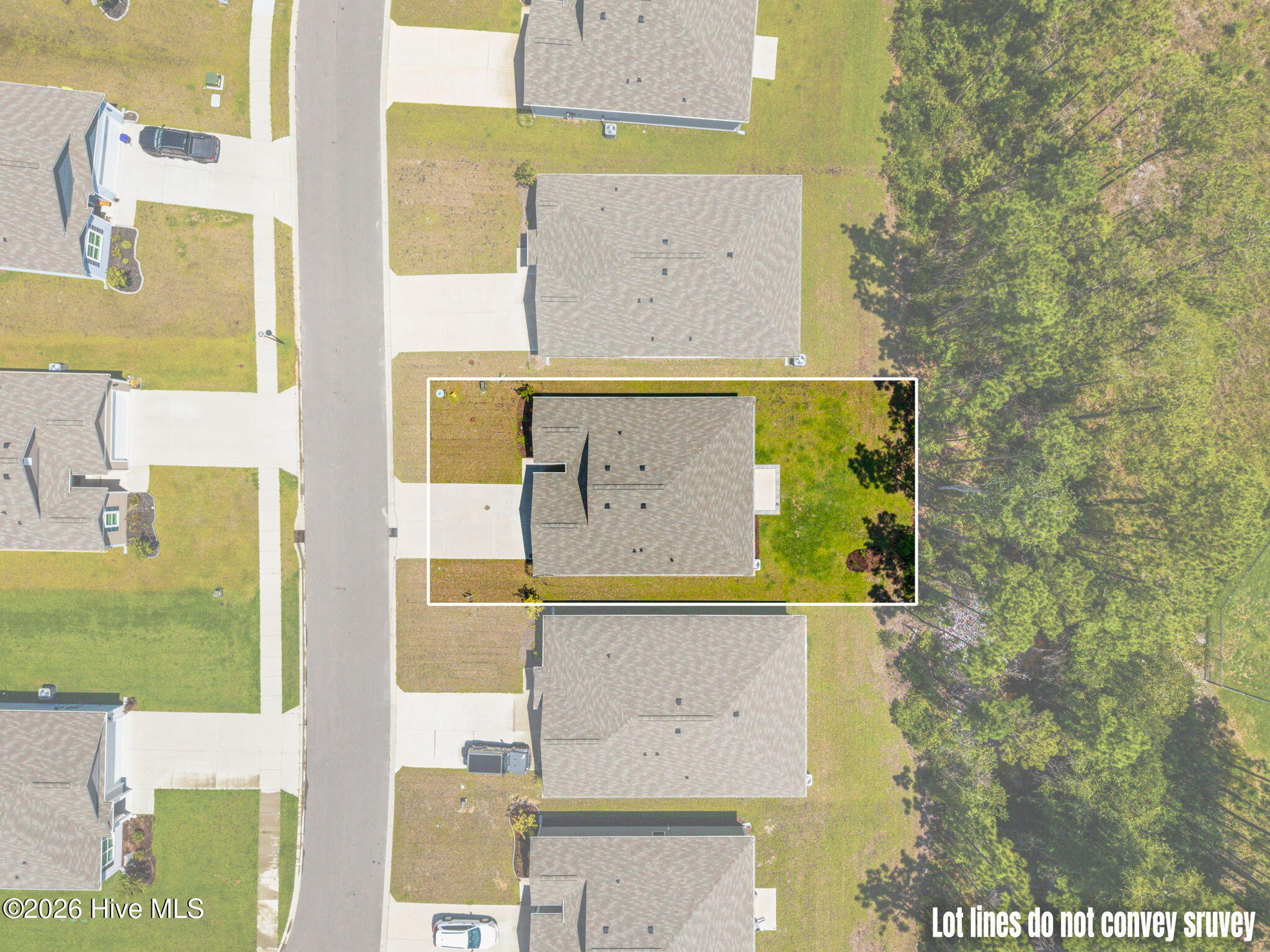 100556458 | Photo 35