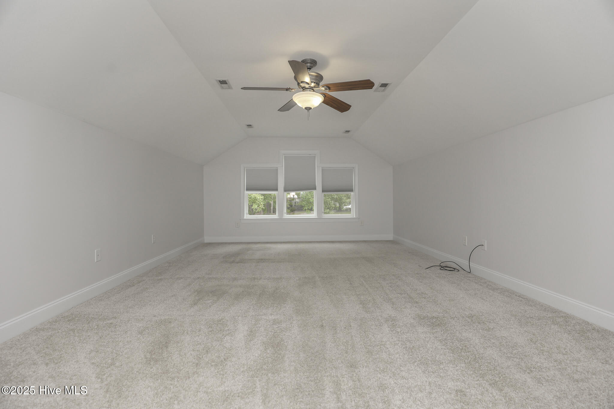 100530782 | Photo 24