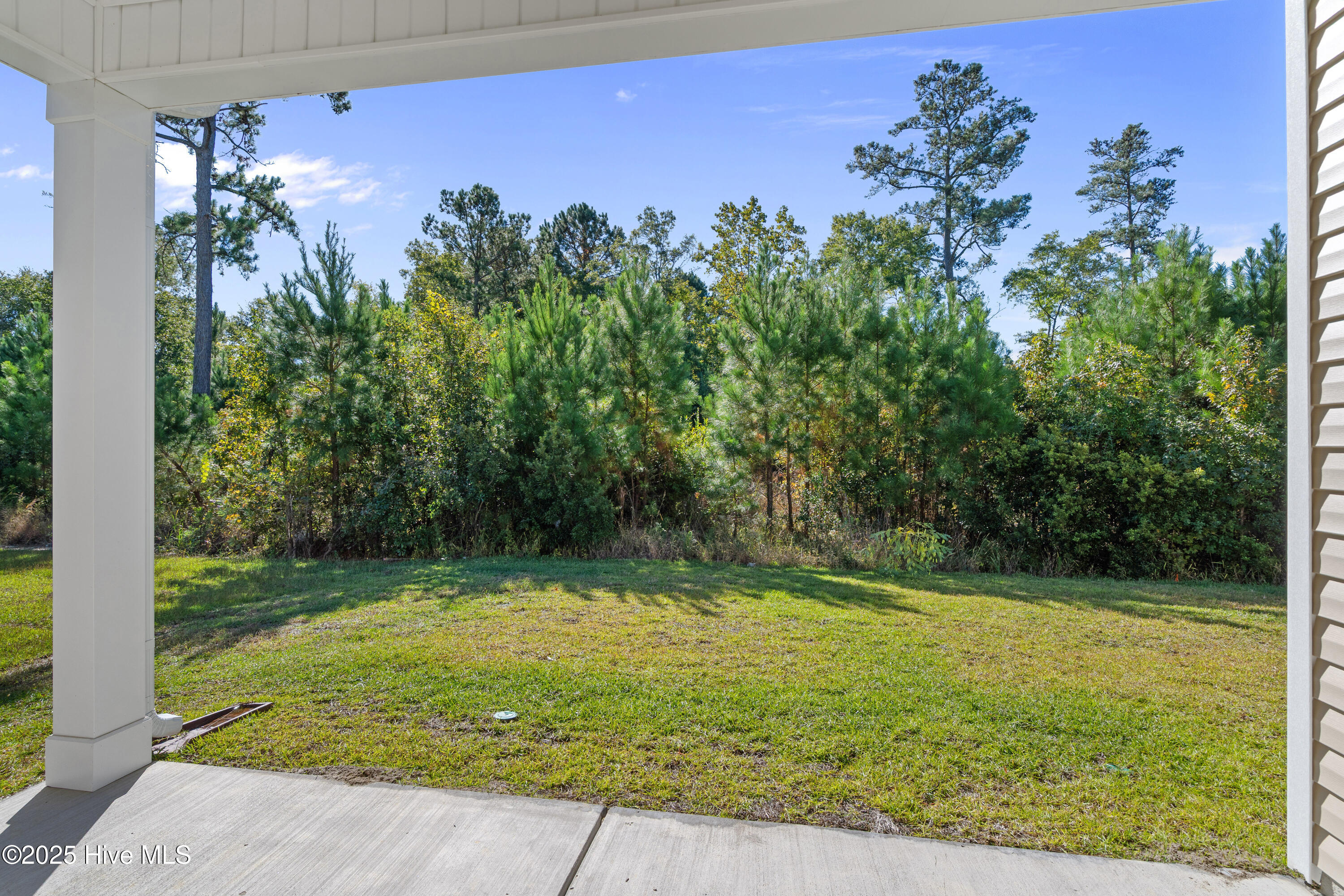 100536968 | Photo 35