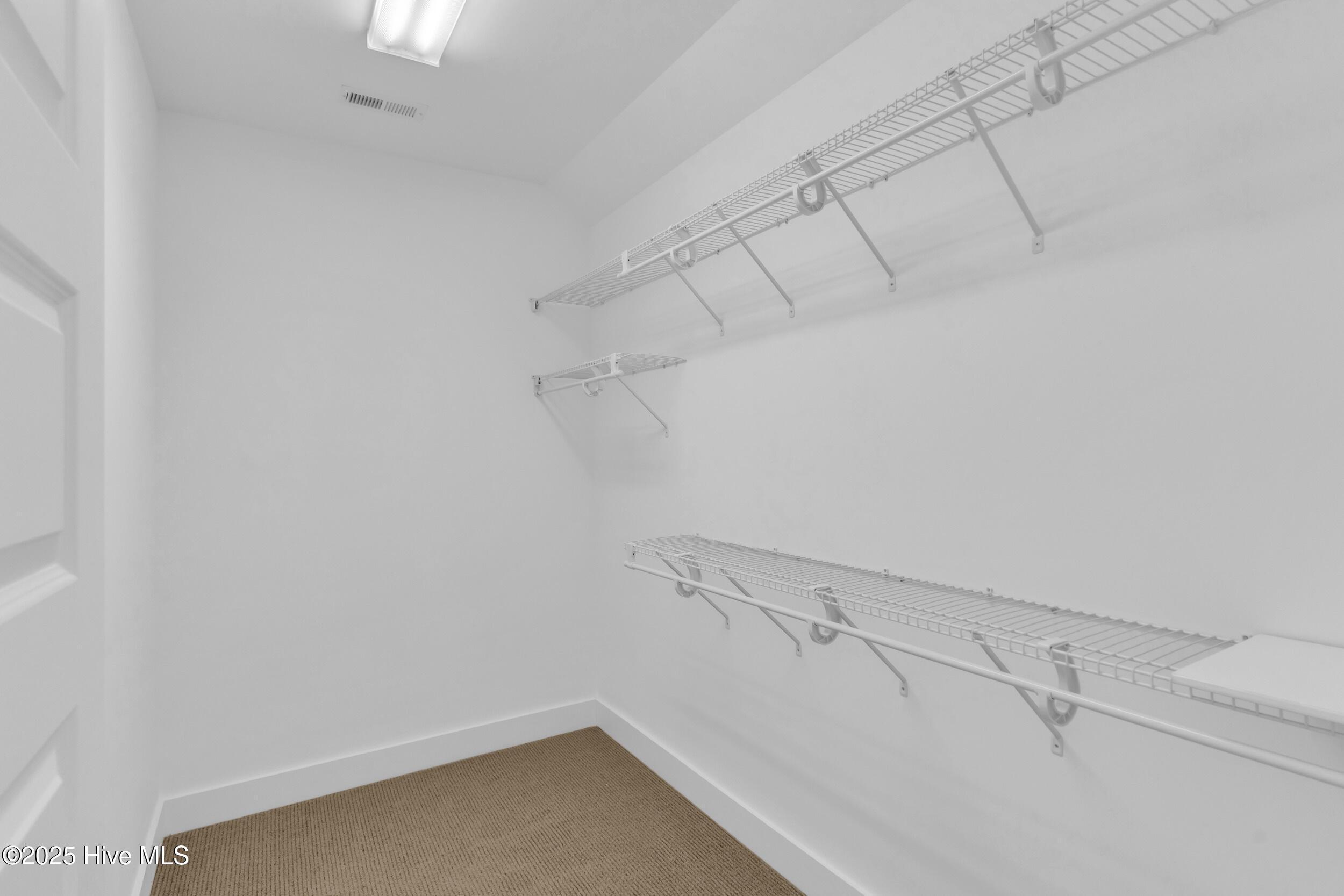 100516979 | Photo 28