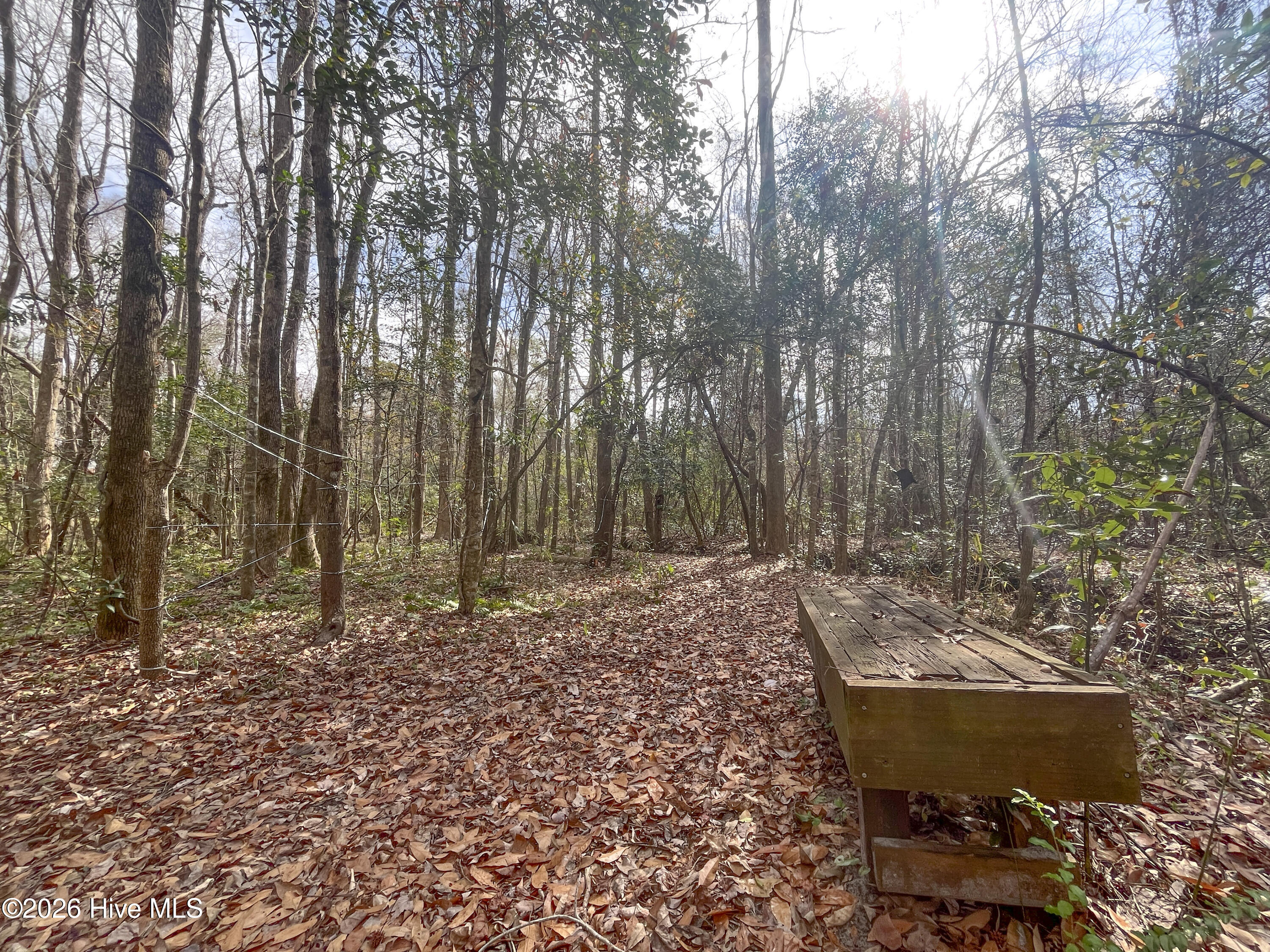 100557904 | Photo 36