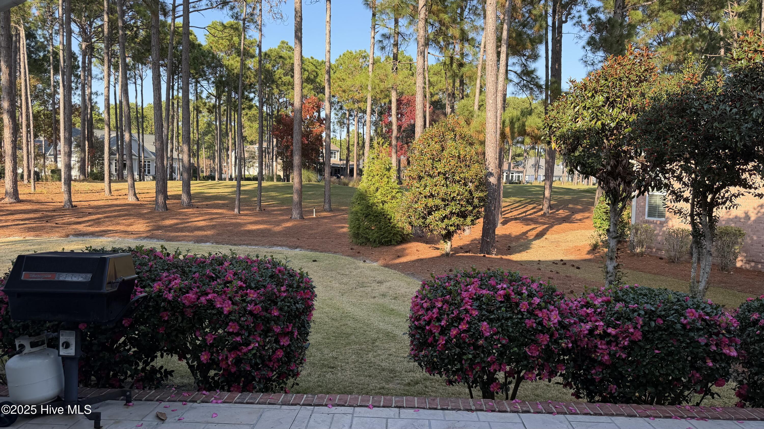 100526720 | Photo 41