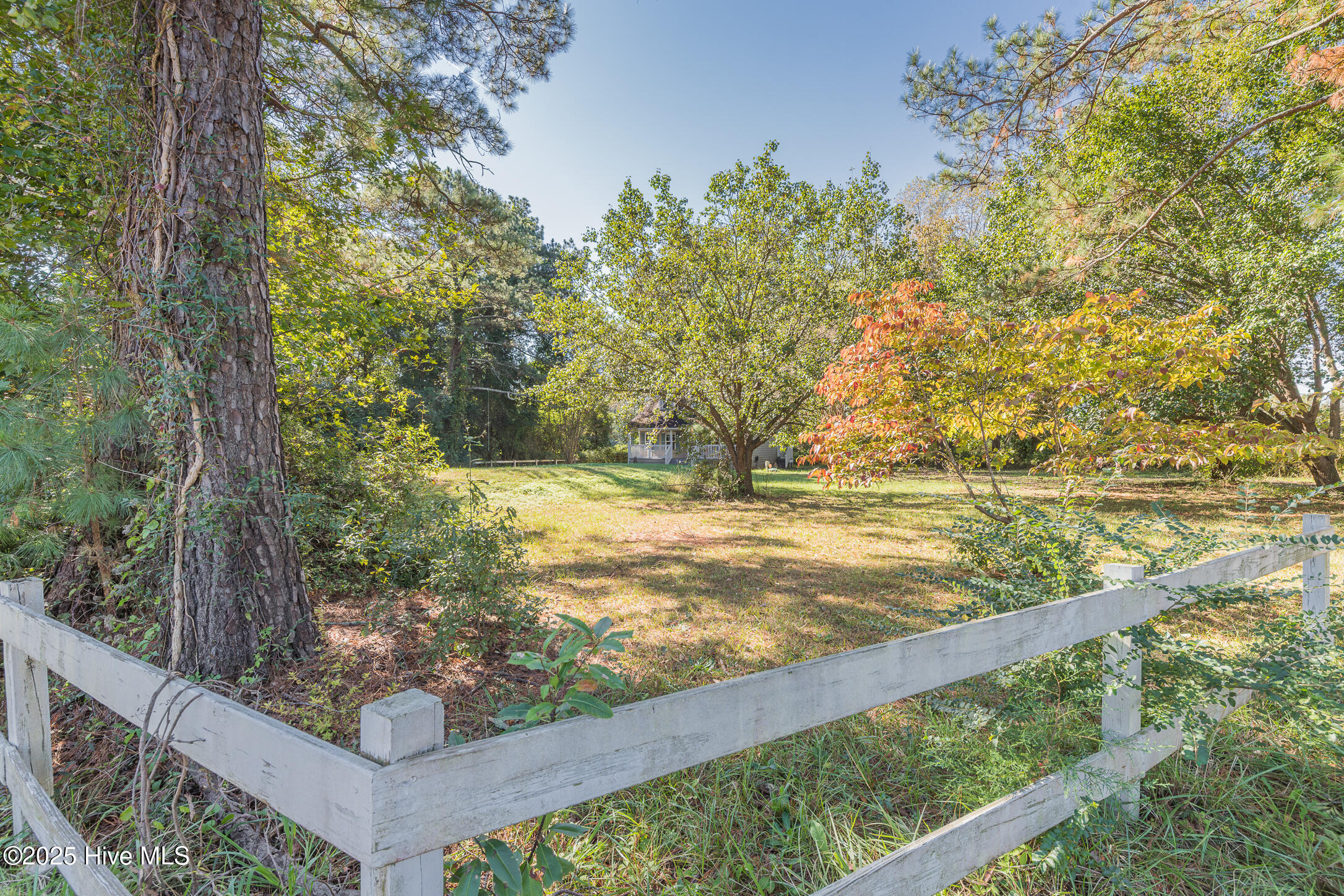 100537382 | Photo 31