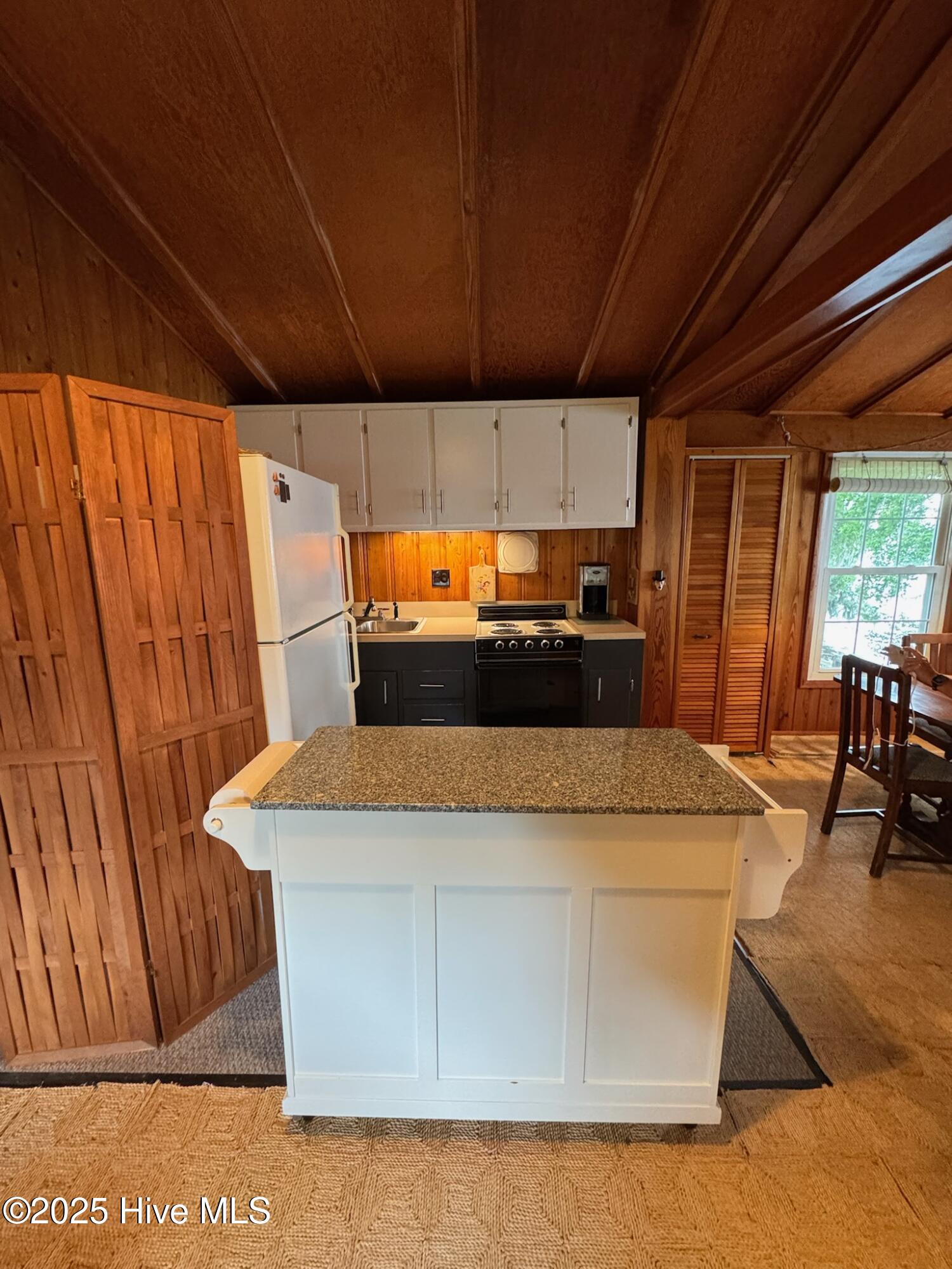 100543685 | Photo 27