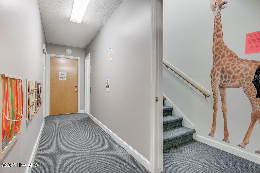 219 Station Street, Jacksonville, NC, 28546