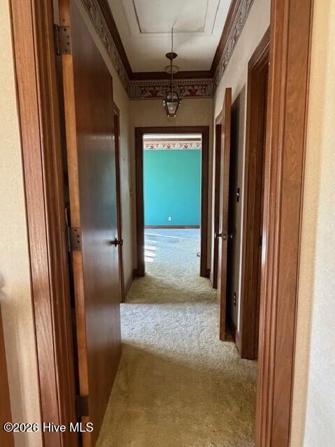 100551549 | Photo 31