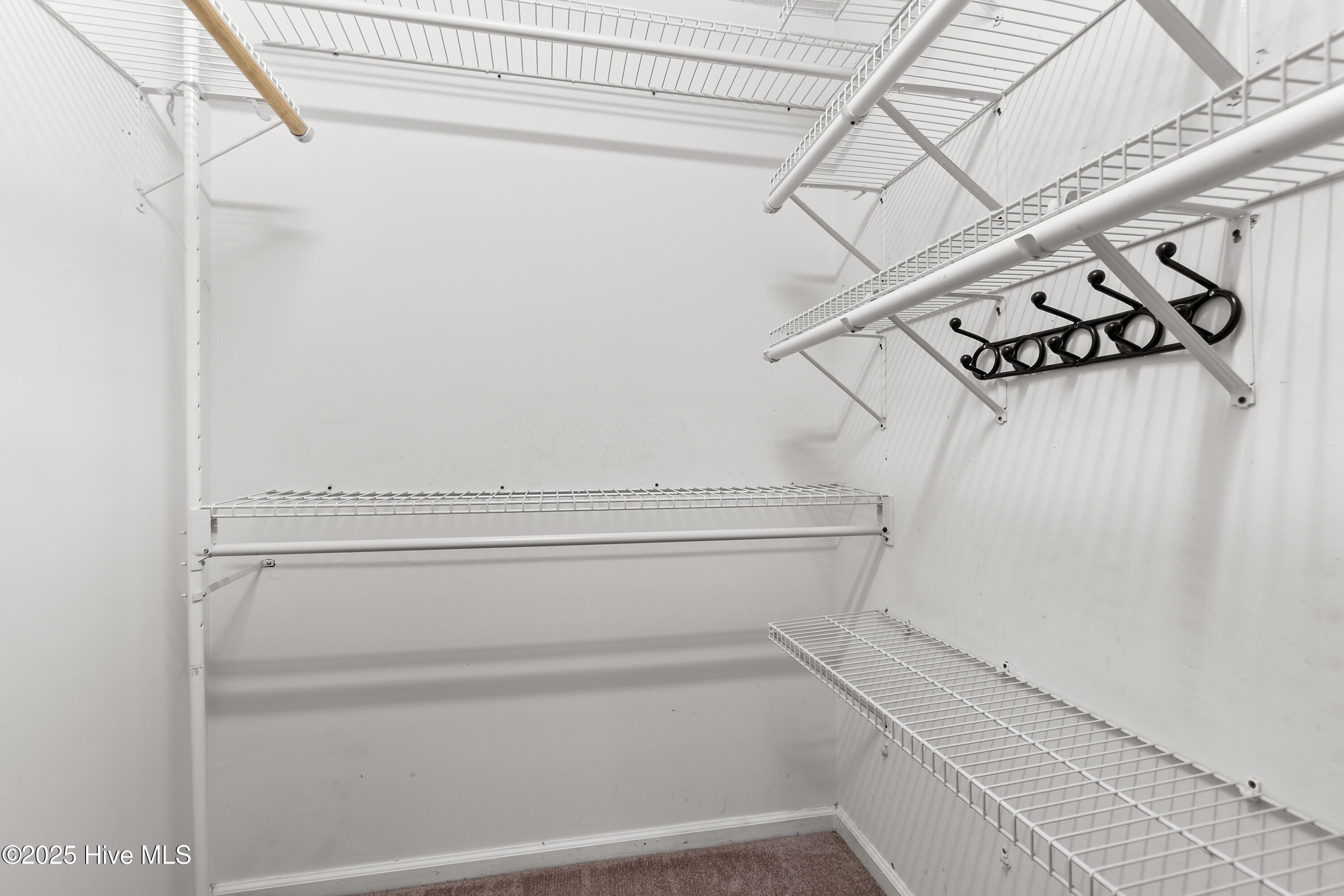 100537451 | Photo 21