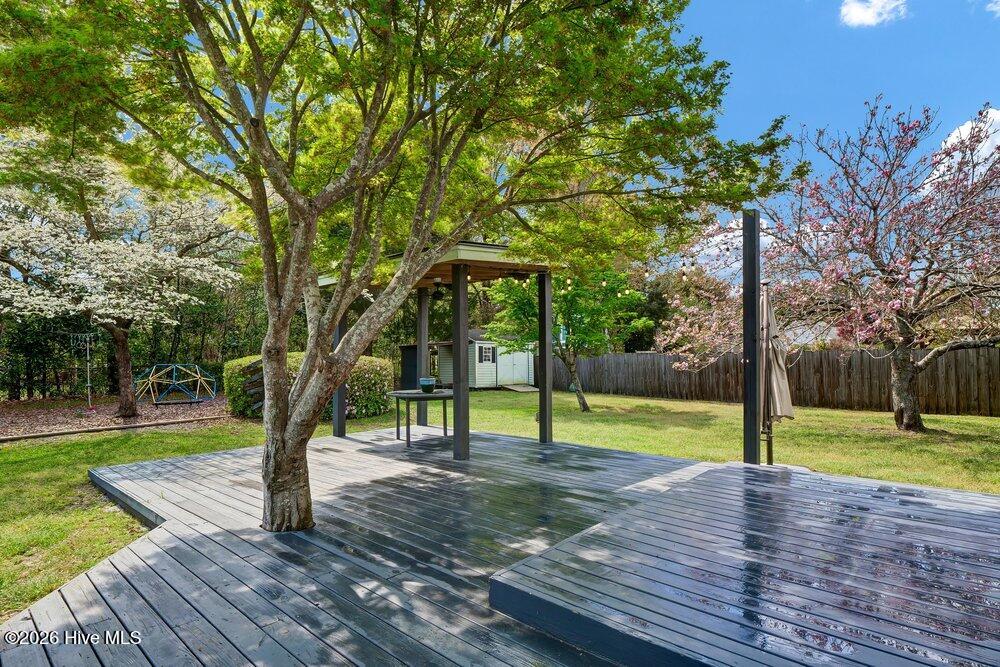 100562479 | Photo 41