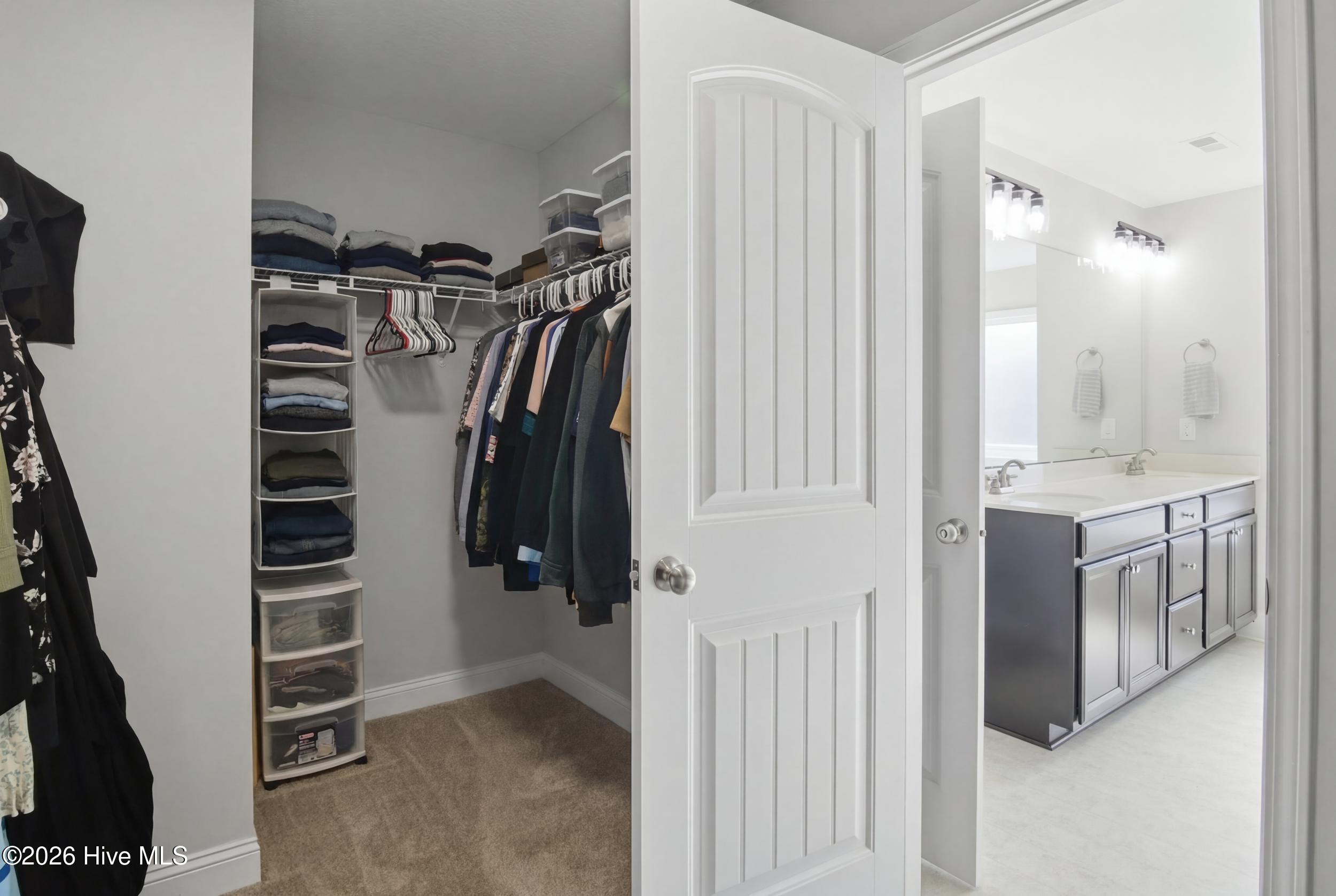 100552695 | Photo 42