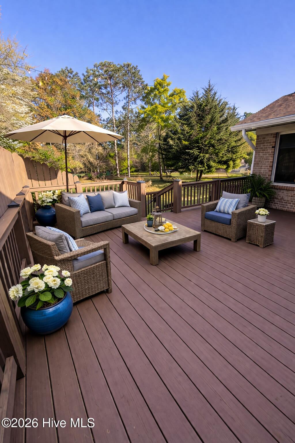 100566474 | Photo 20