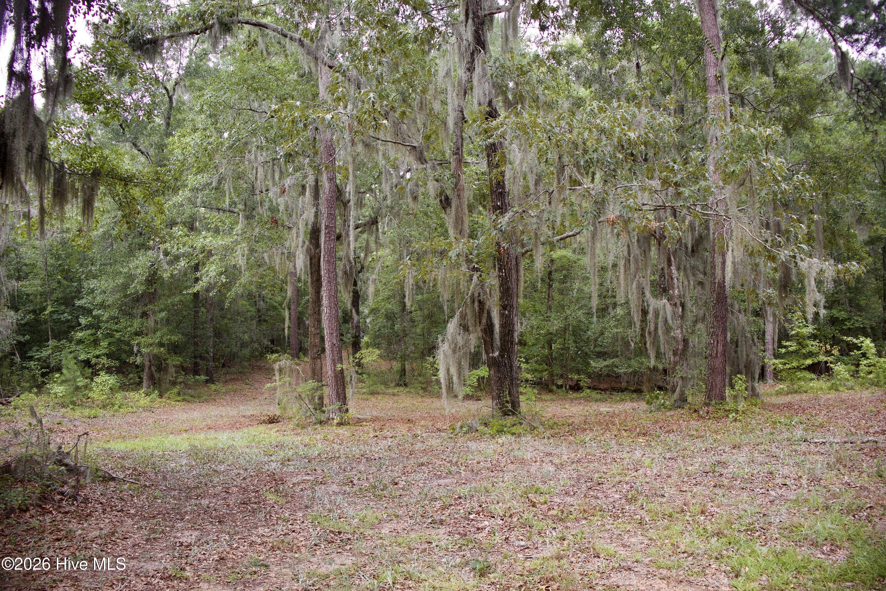 385 Sand Ridge Road,New Bern