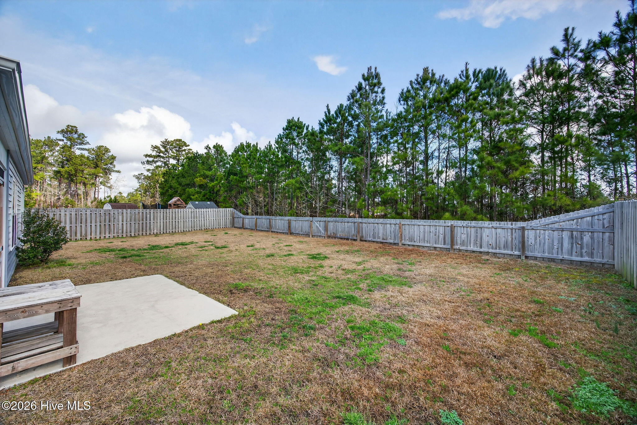 100560192 | Photo 31