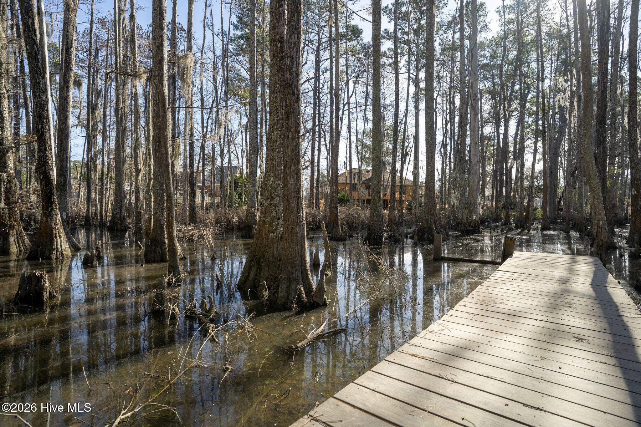 100550743 | Photo 18