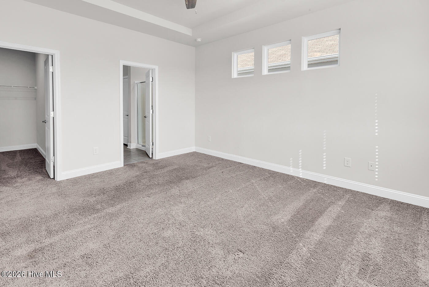 100555592 | Photo 19