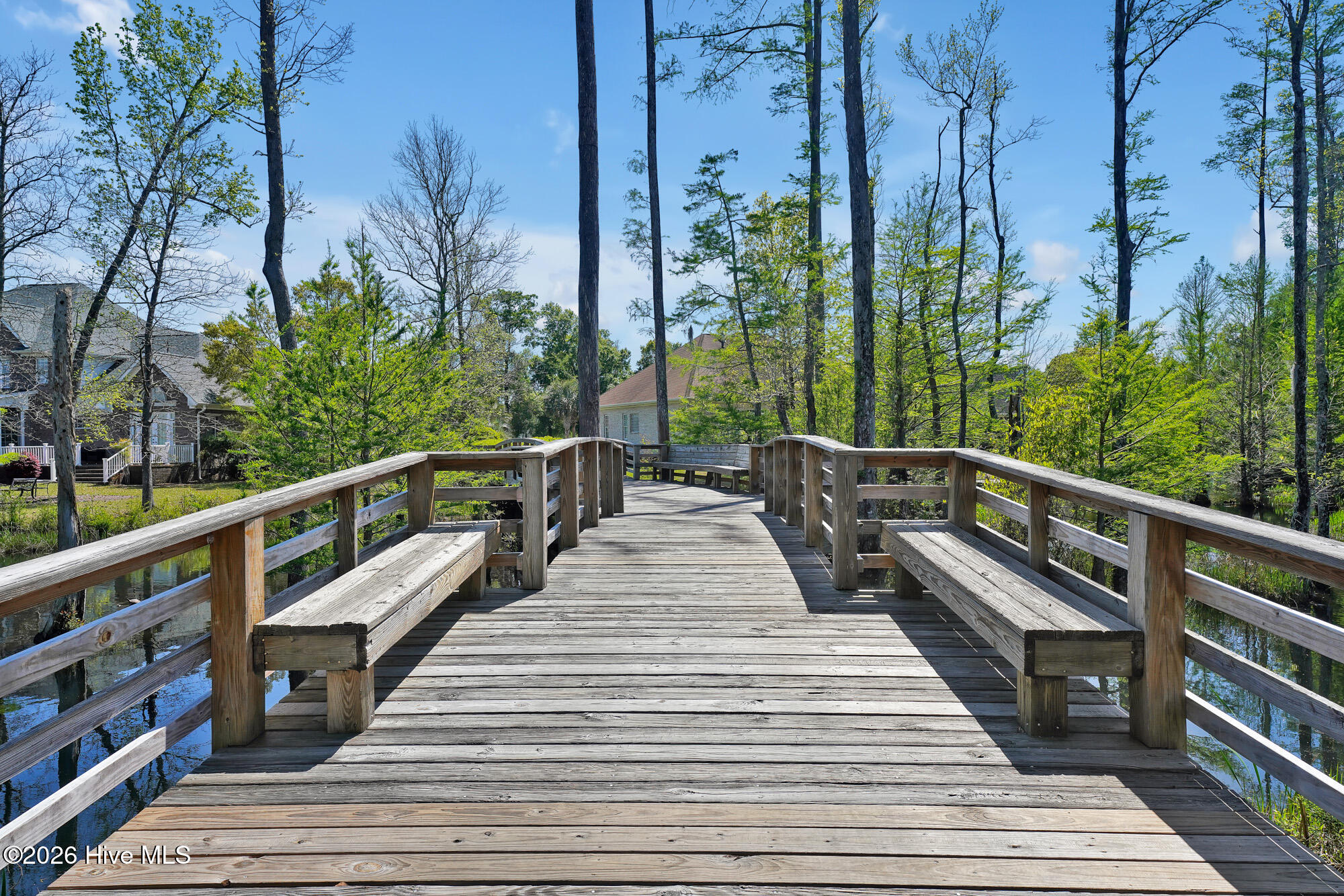 100554924 | Photo 40