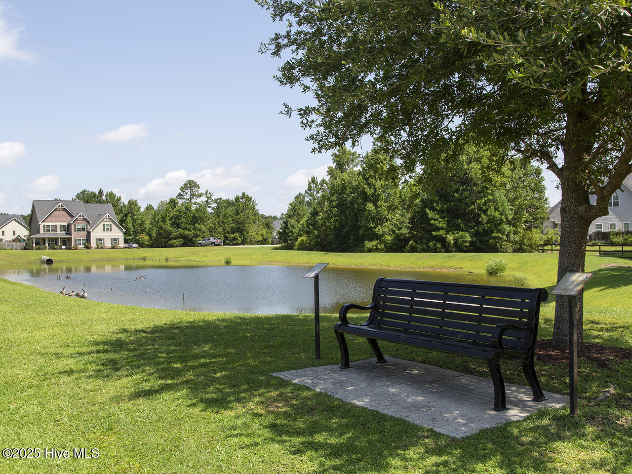 100546498 | Photo 41