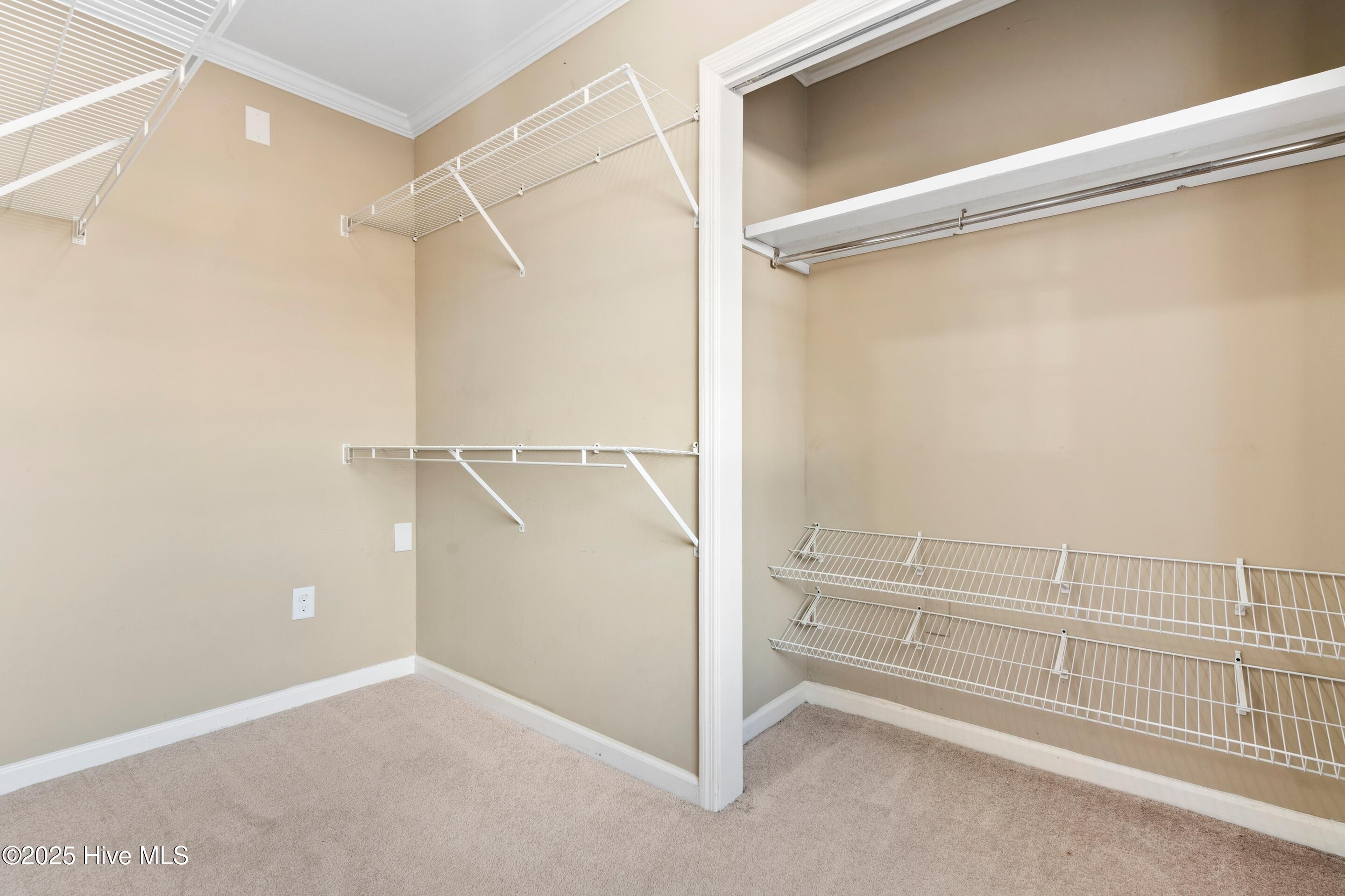 100546028 | Photo 29