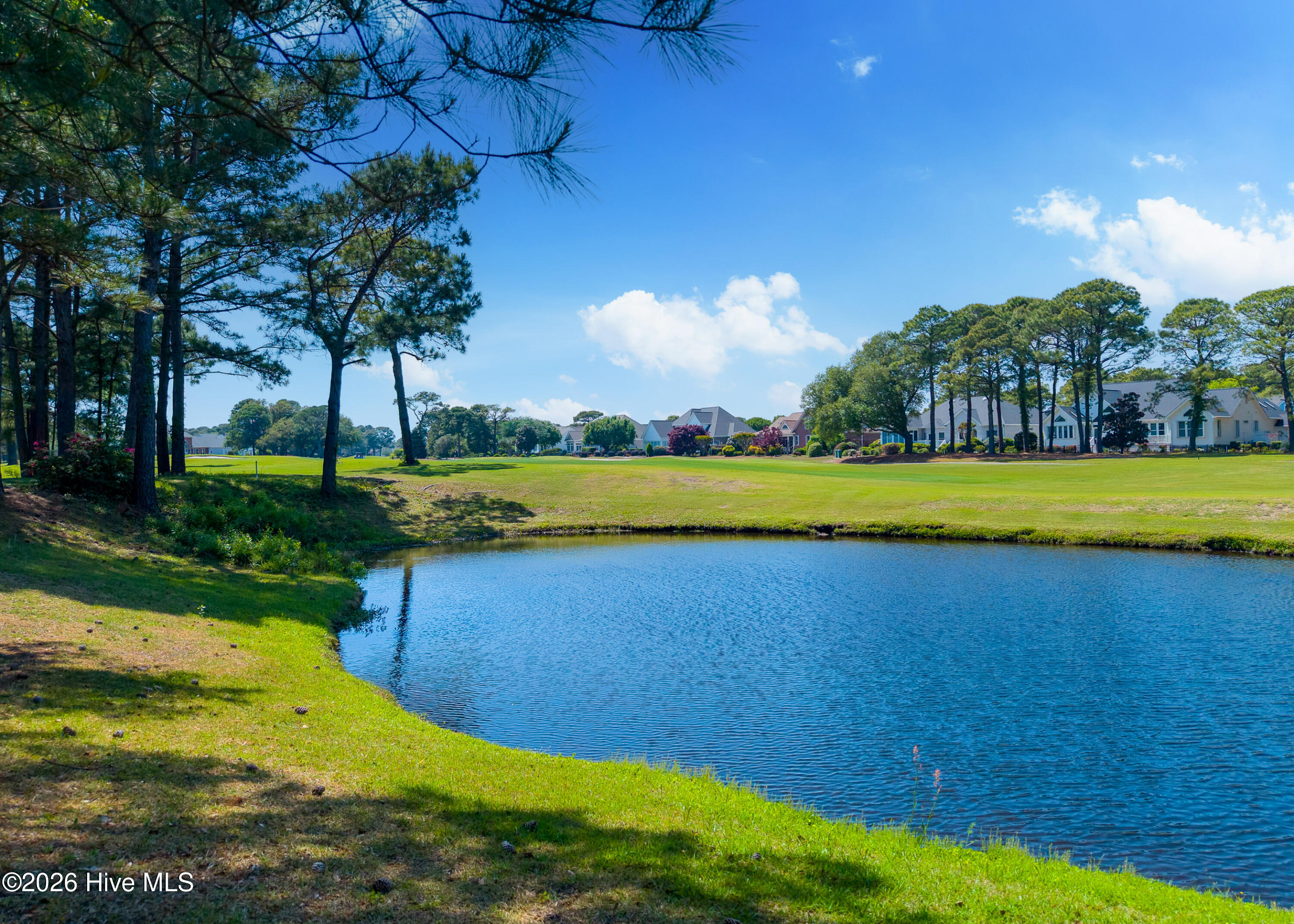 100569454 | Photo 61