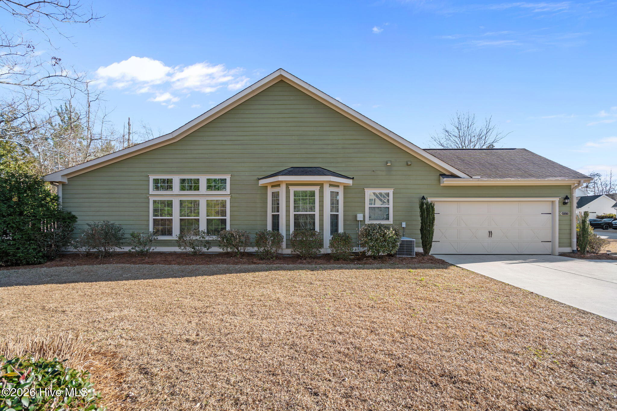 100554363 | Photo 67