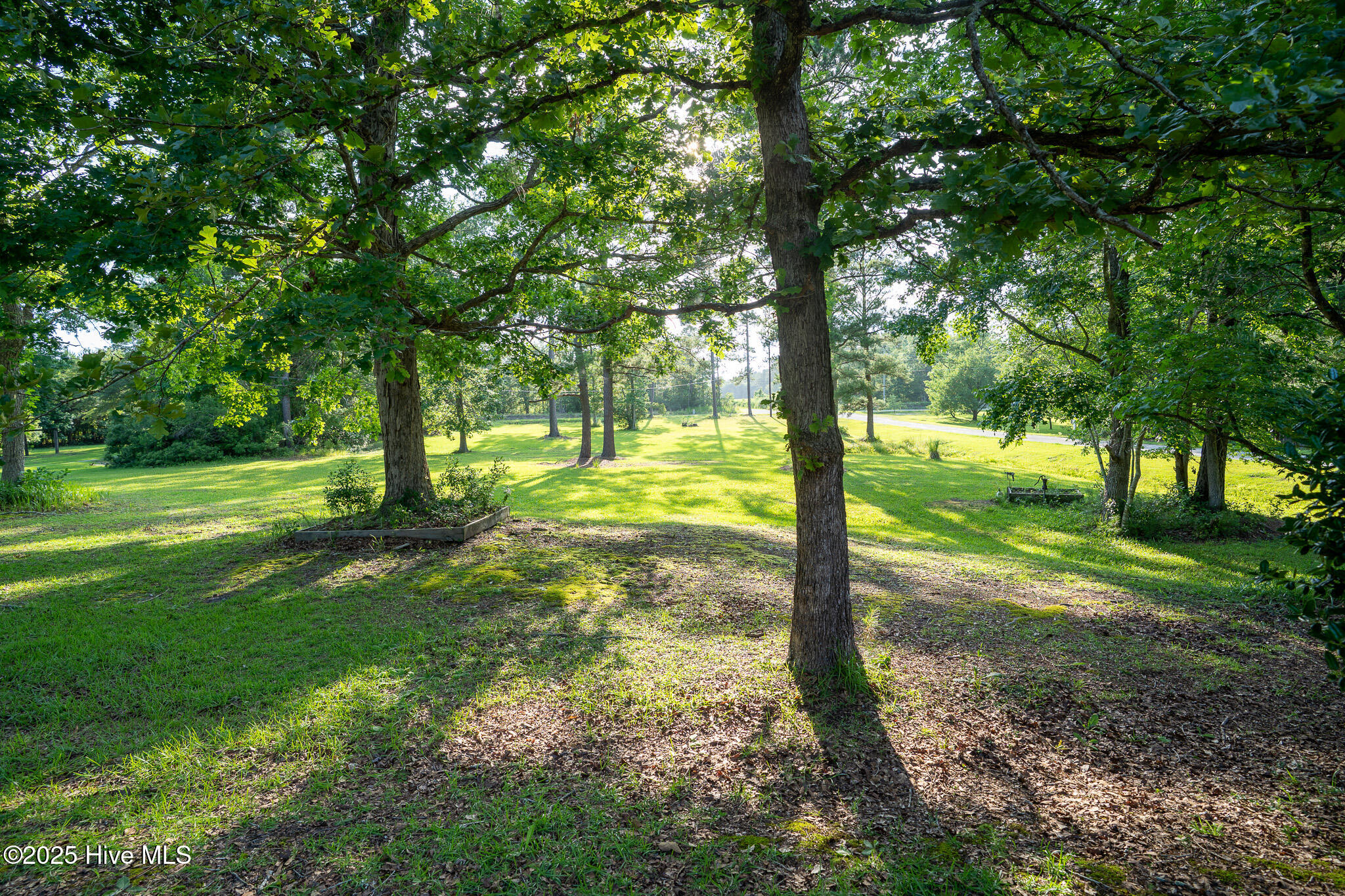 100513589 | Photo 22