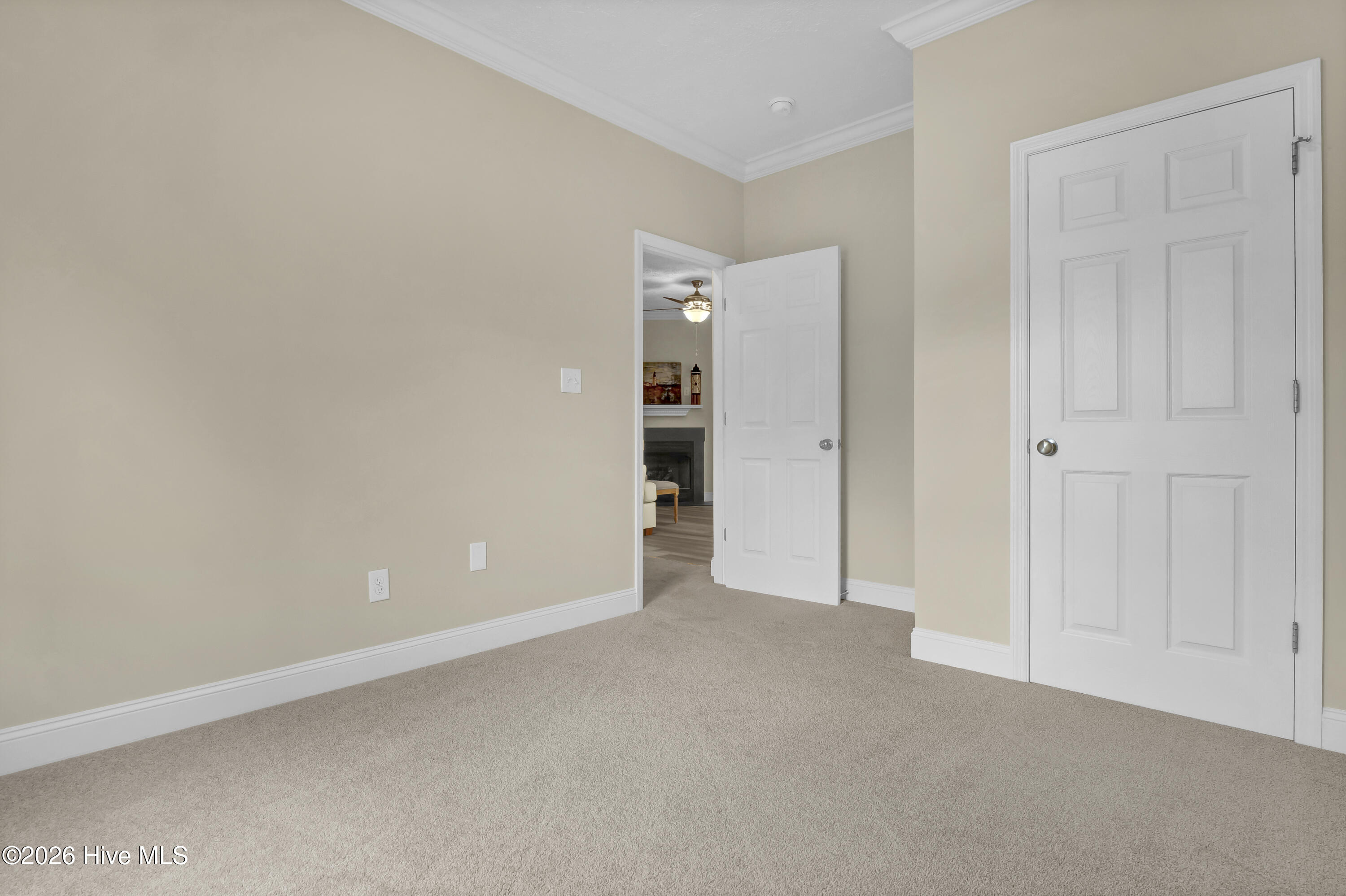 100559268 | Photo 26