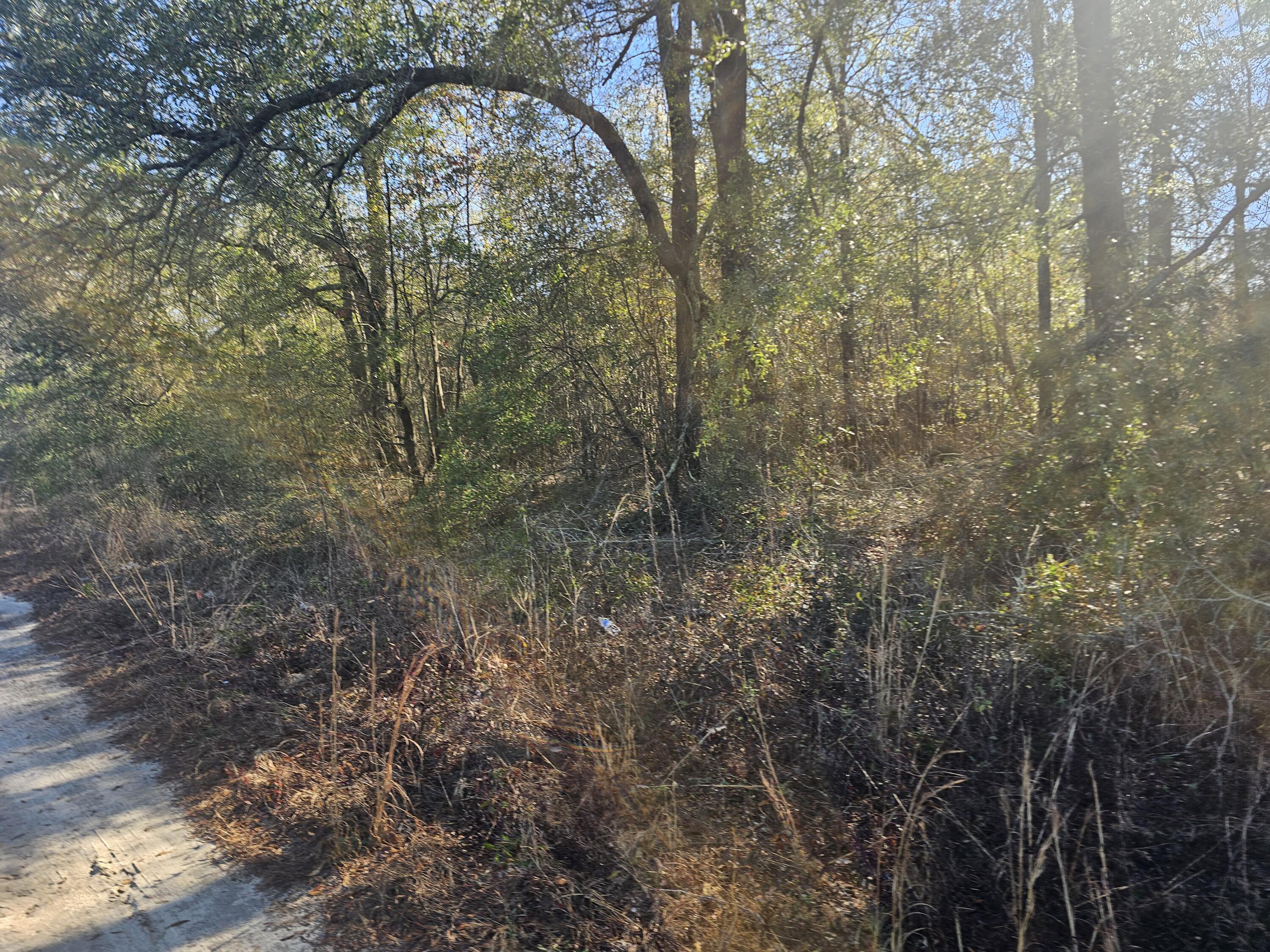 Homes for sale in Waynesboro, GA | 01 River Rd, Waynesboro, GA 30830 | MLS# 552645