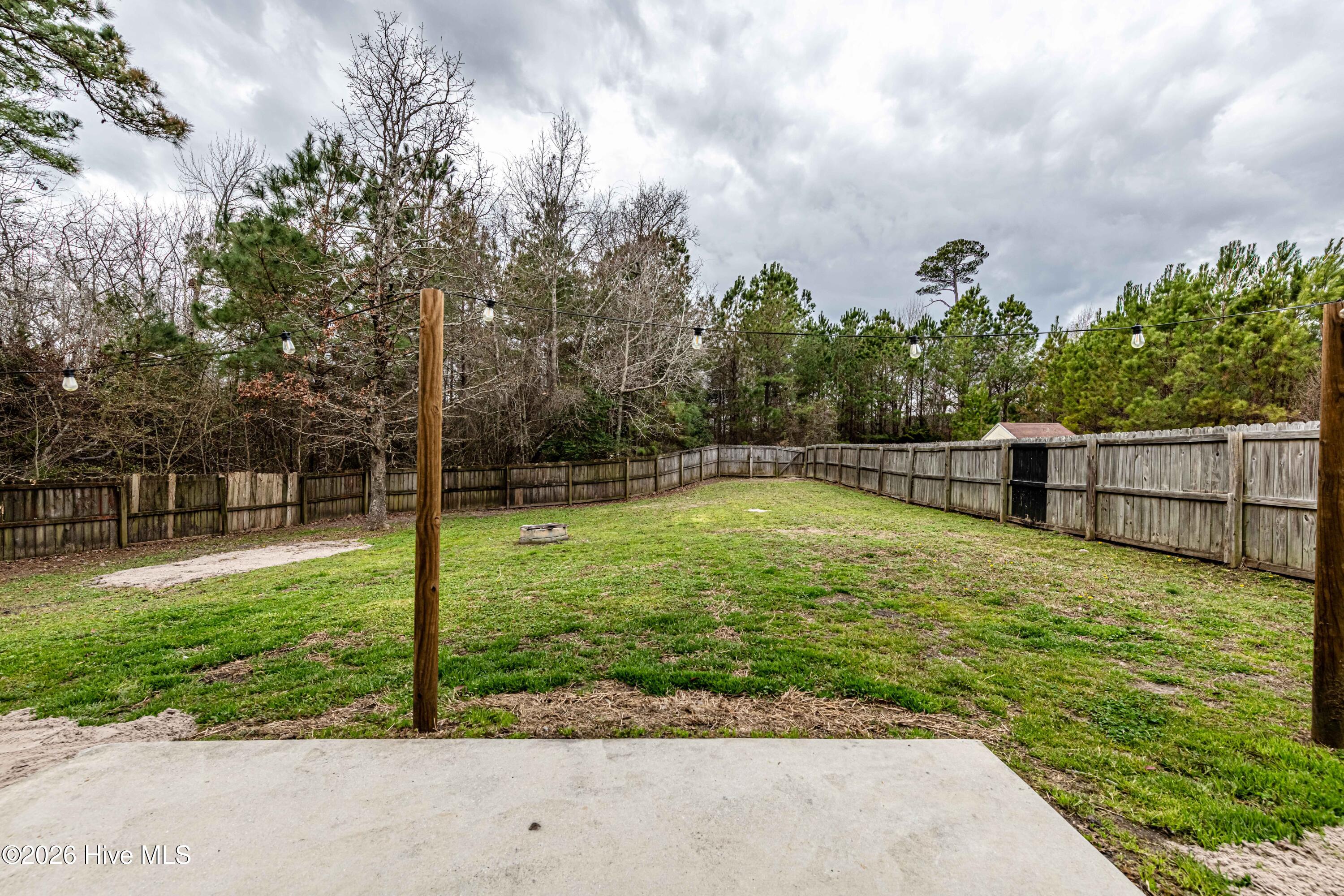 100557262 | Photo 43