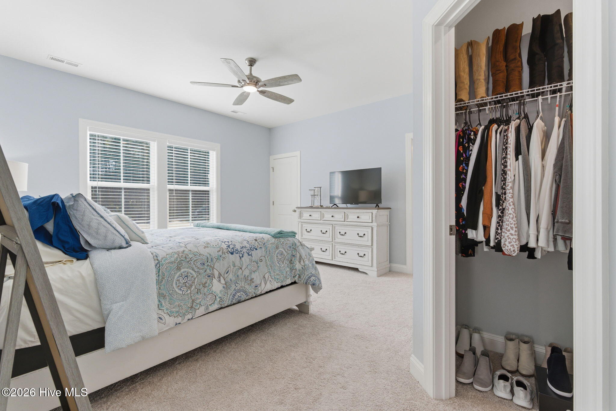 100554618 | Photo 32