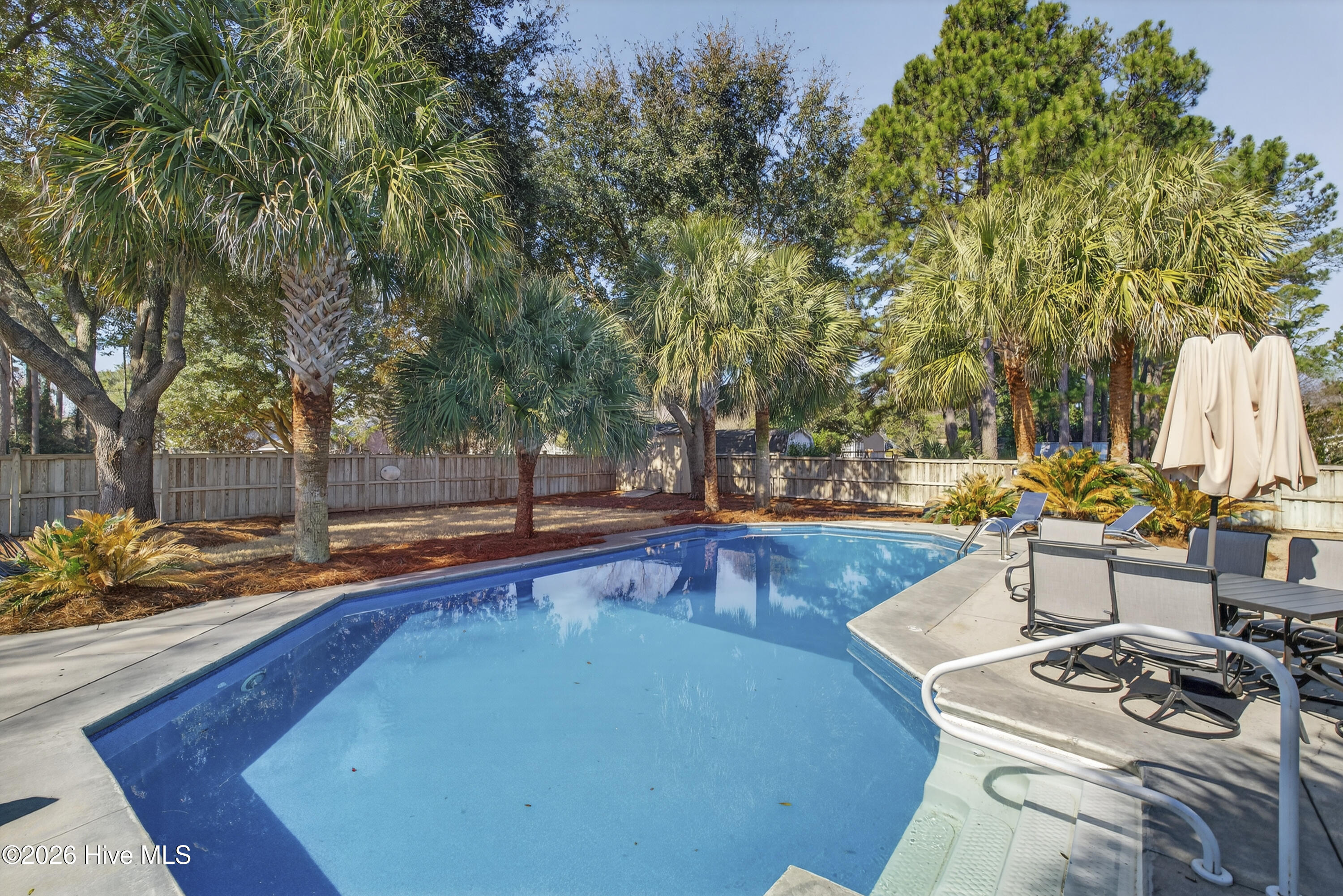 100557887 | Photo 61