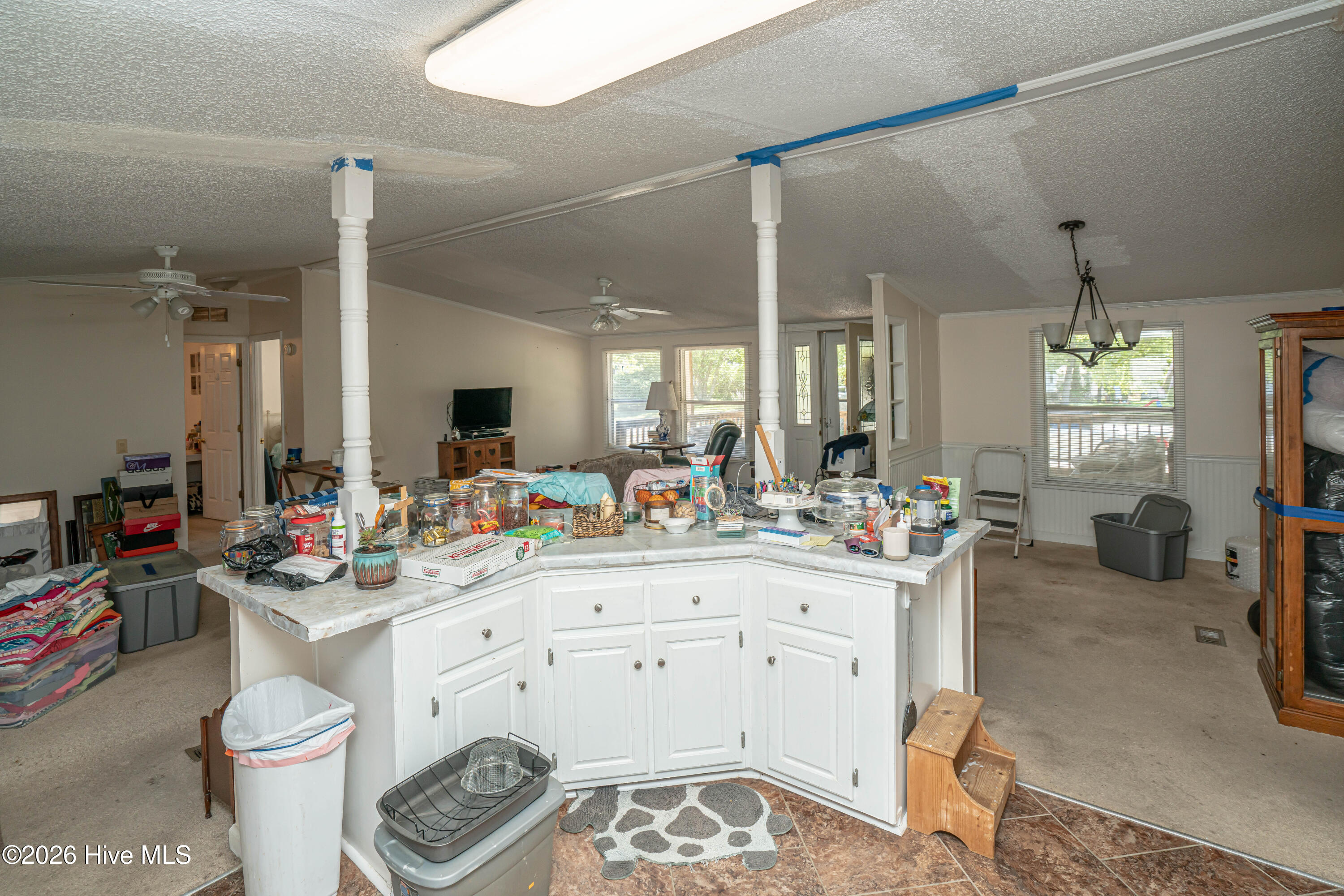 100567070 | Photo 11