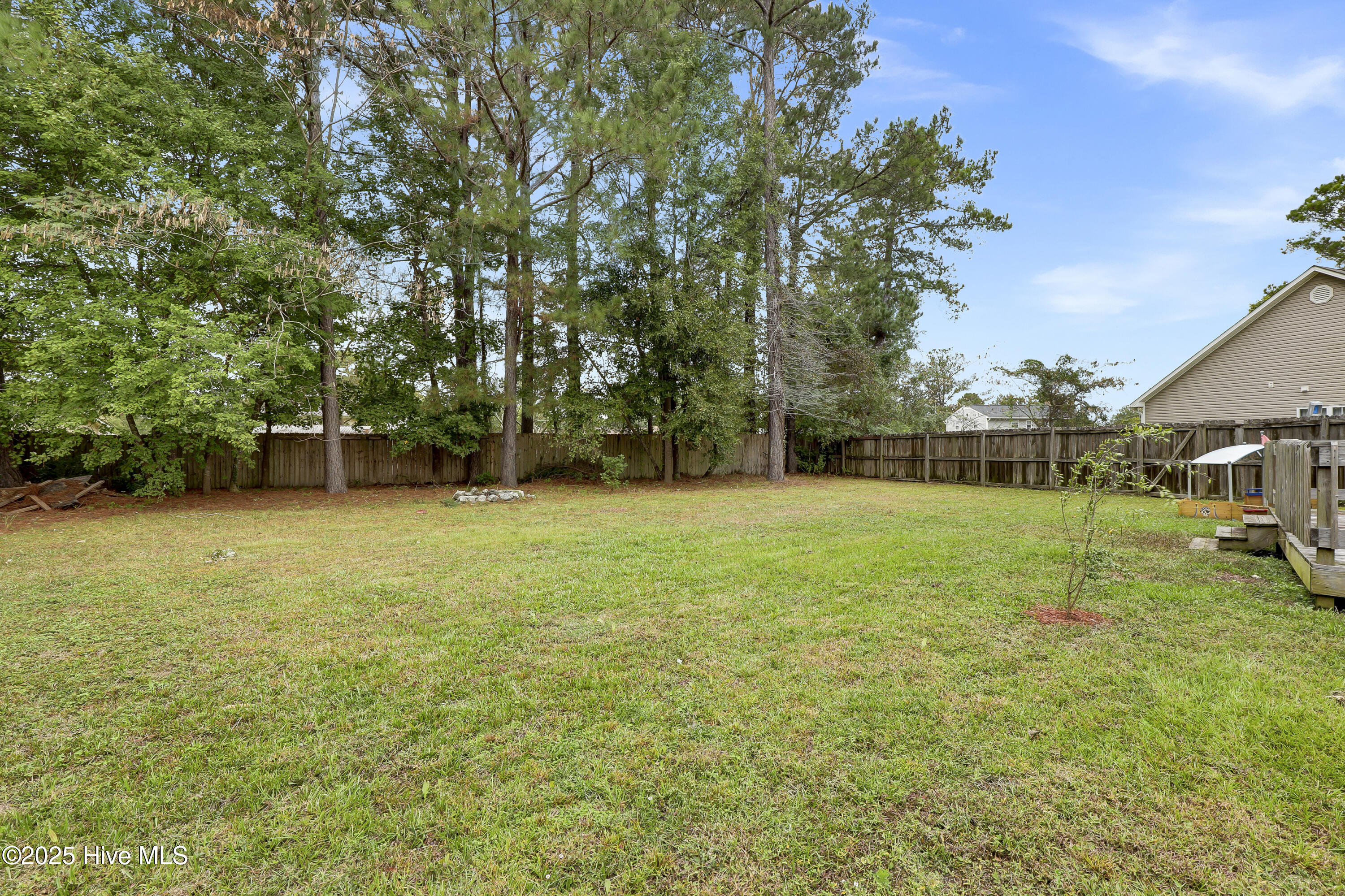 100536597 | Photo 26