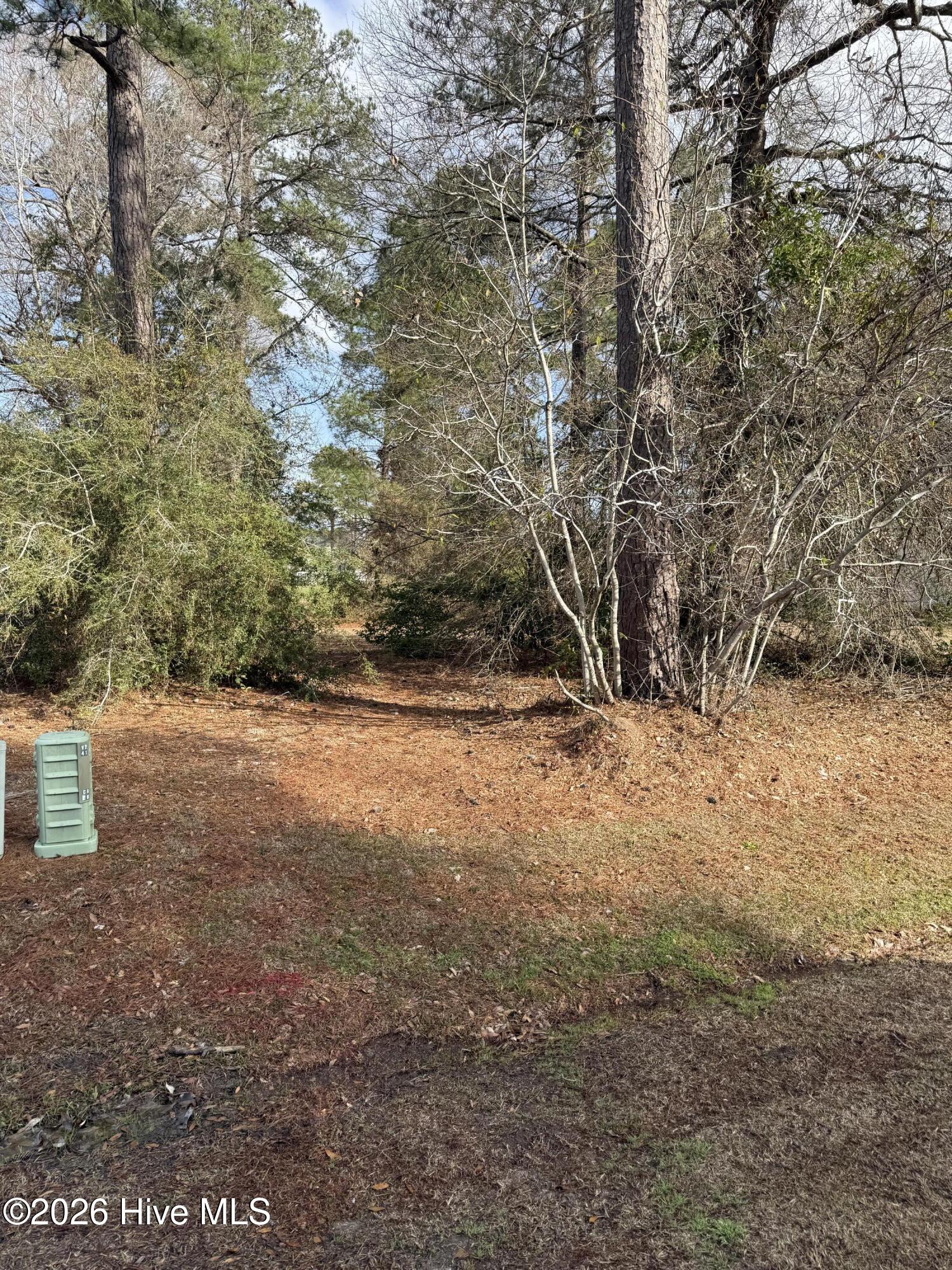 100558315 | Photo 15