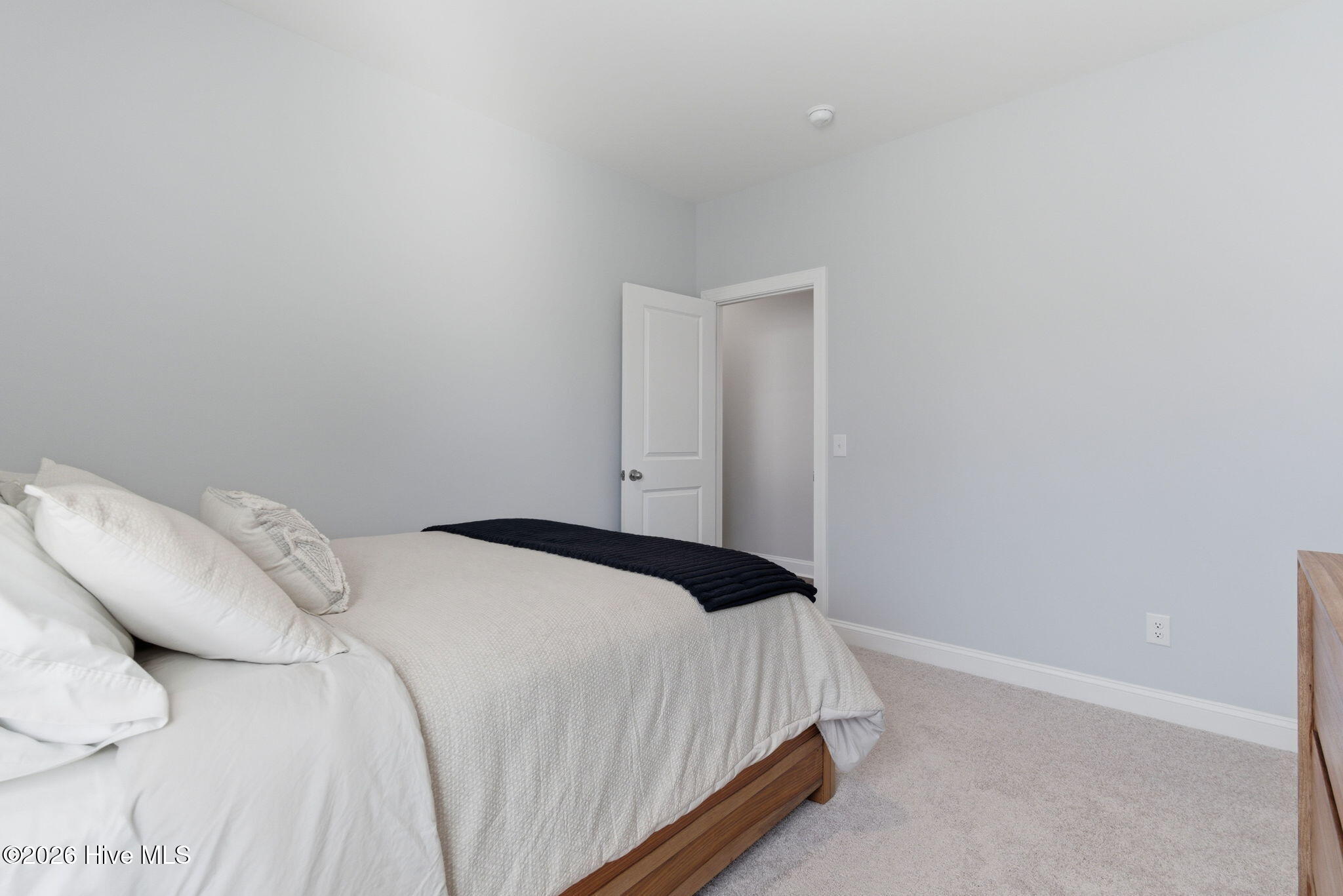 100554618 | Photo 42