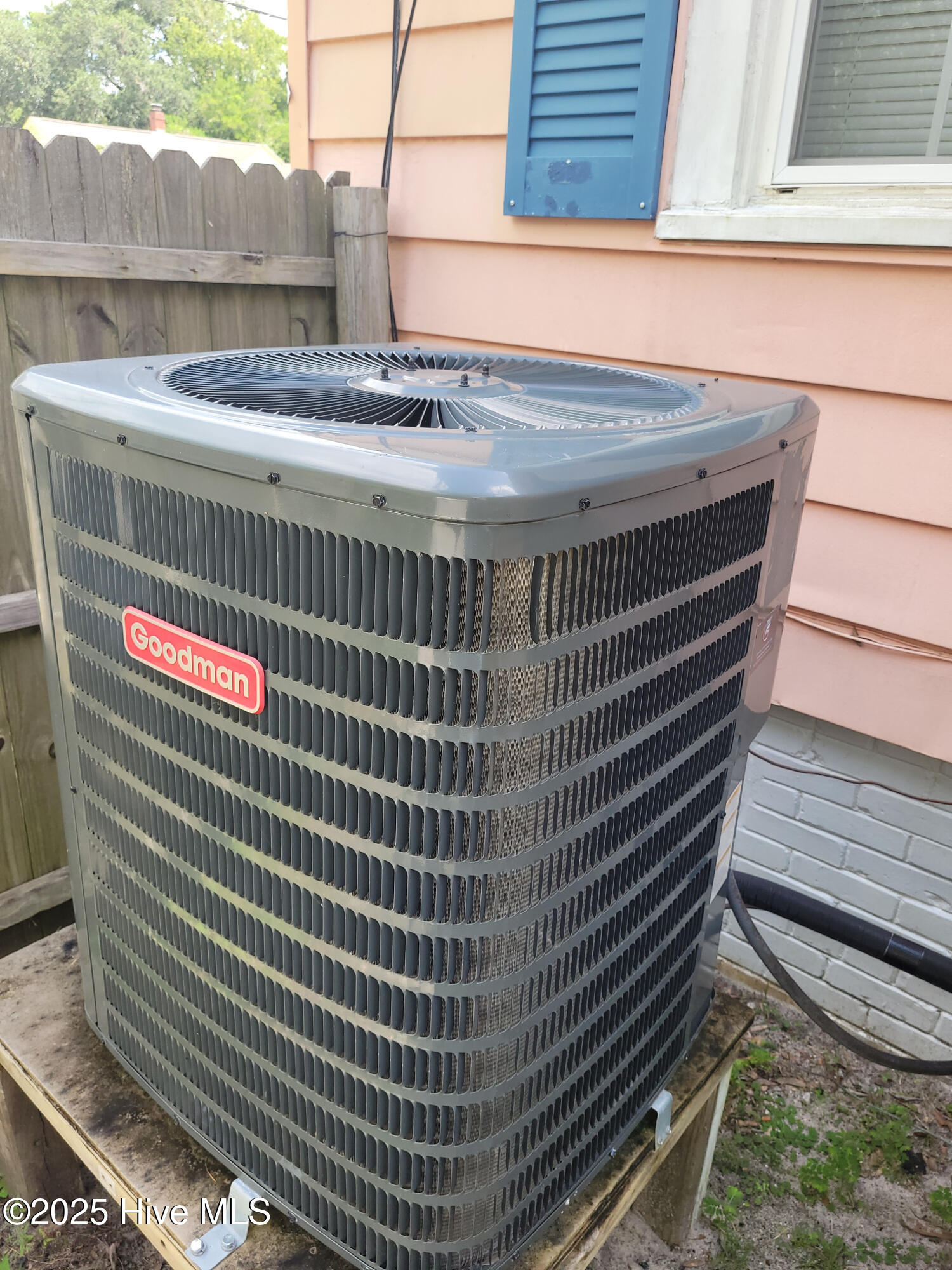 100531827 | Photo 32