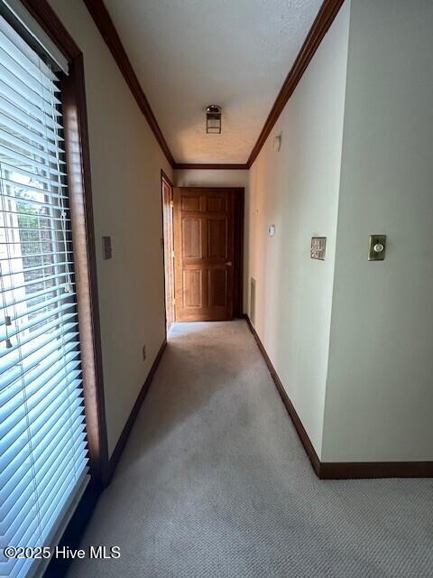 100505864 | Photo 37