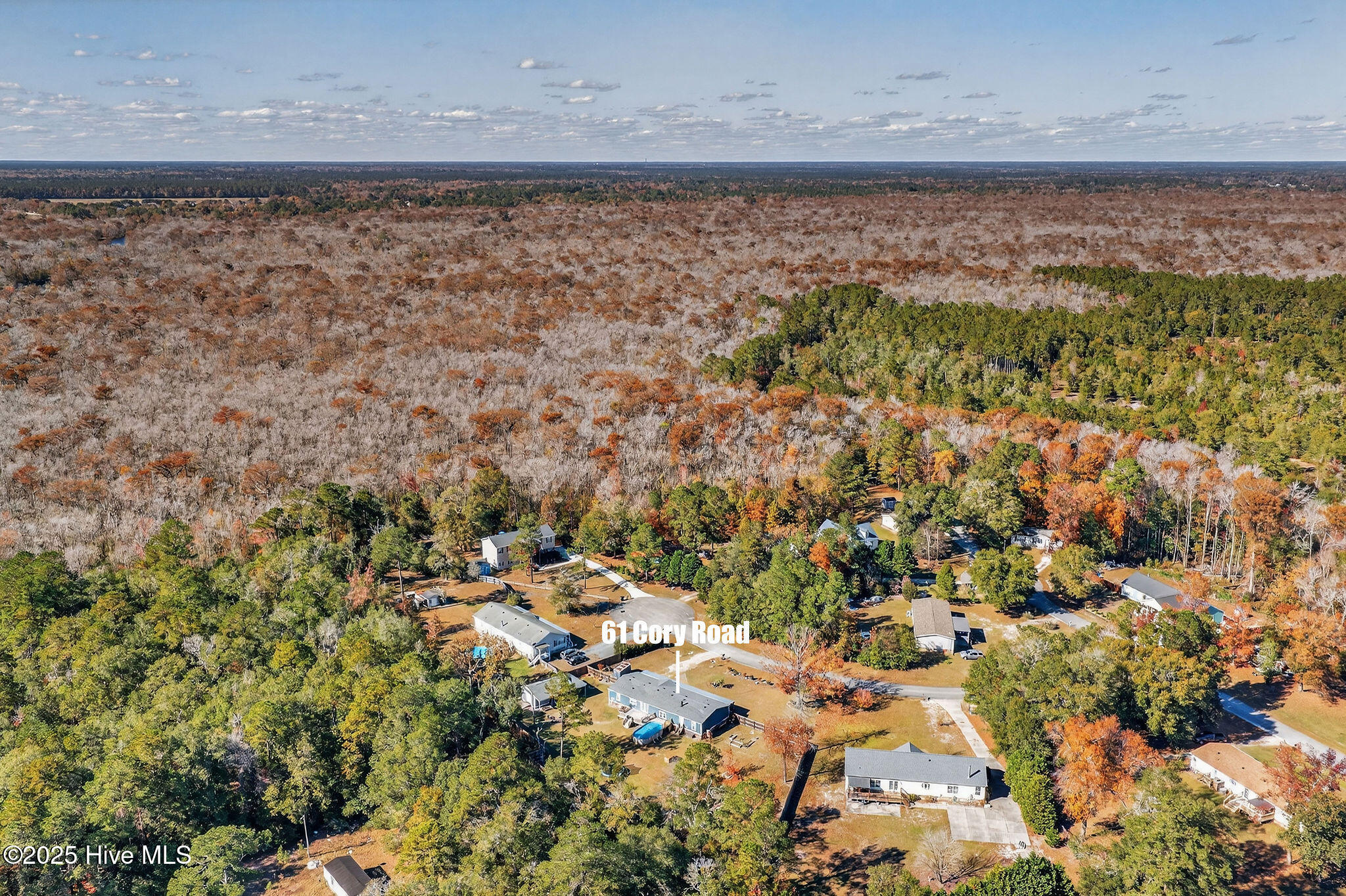 100540799 | Photo 63