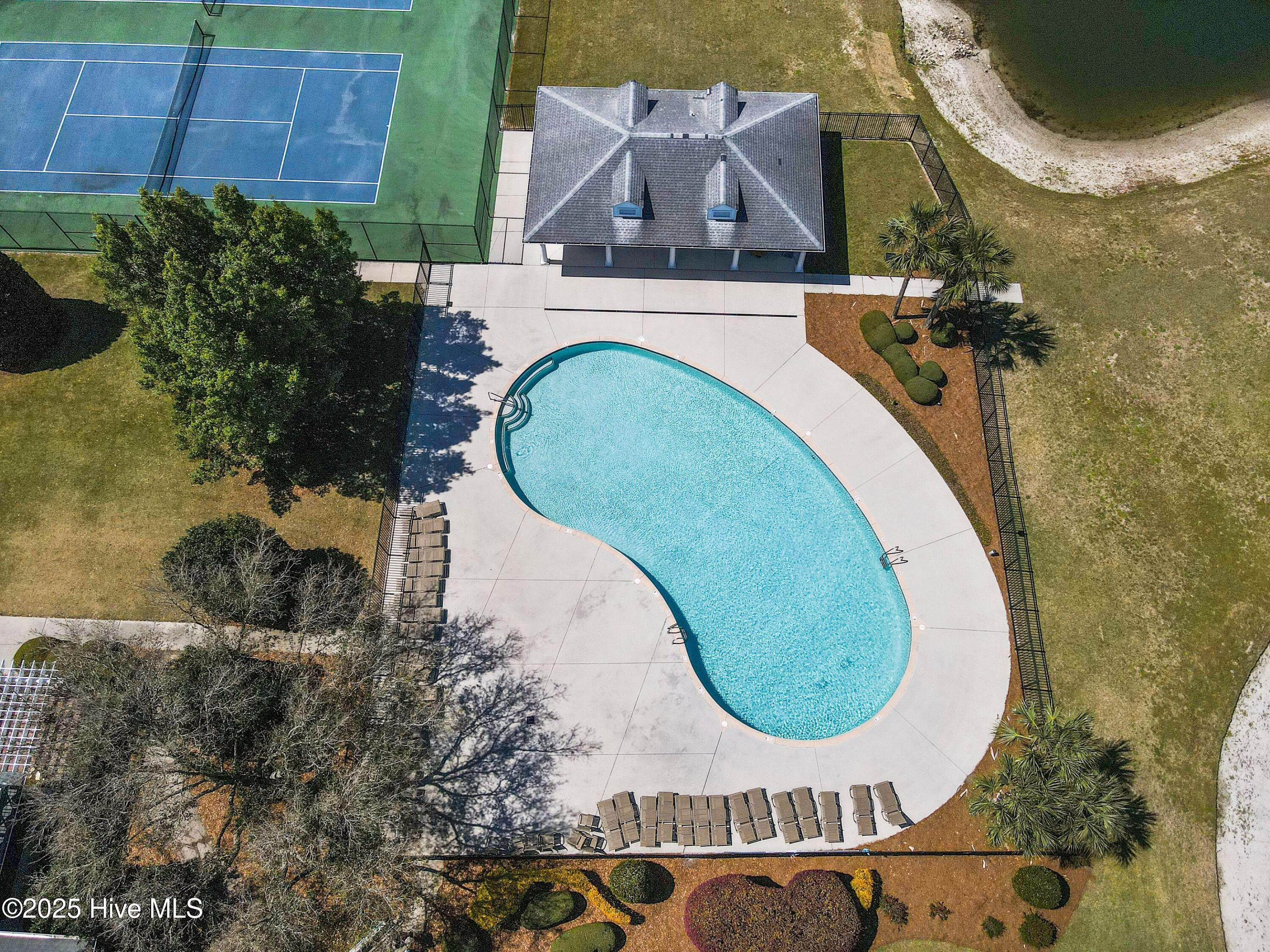 100509551 | Photo 50