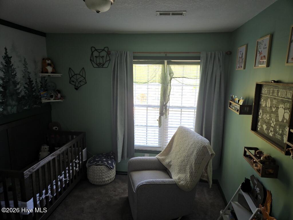 213 Cottage Brook Court, Richlands, NC, 28574