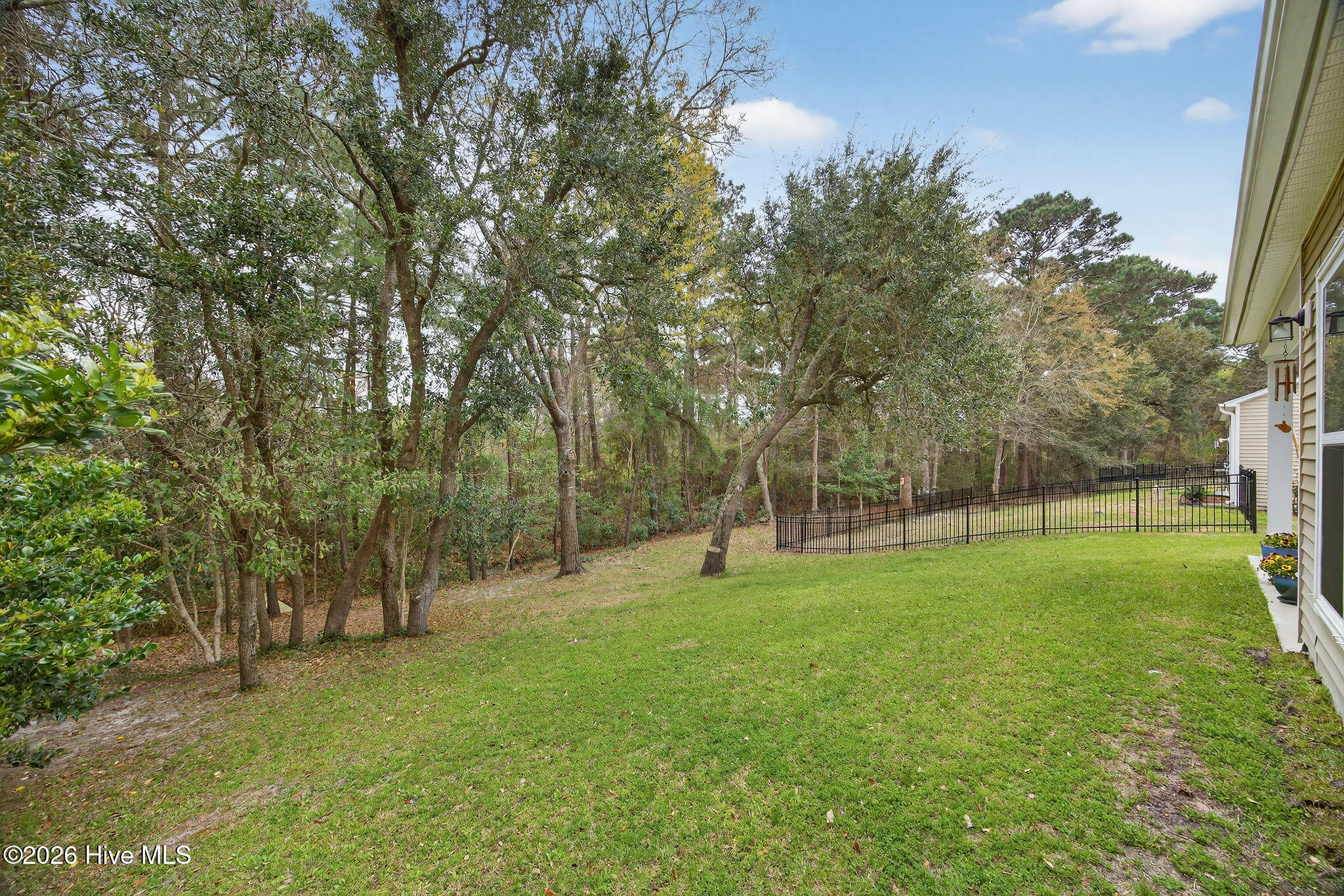 100563500 | Photo 31