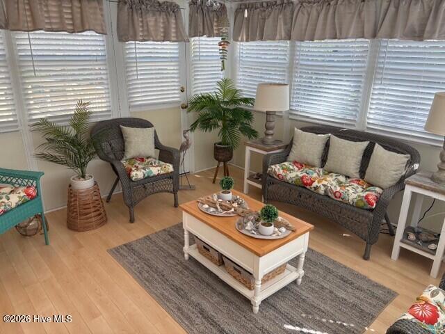 100564132 | Photo 13