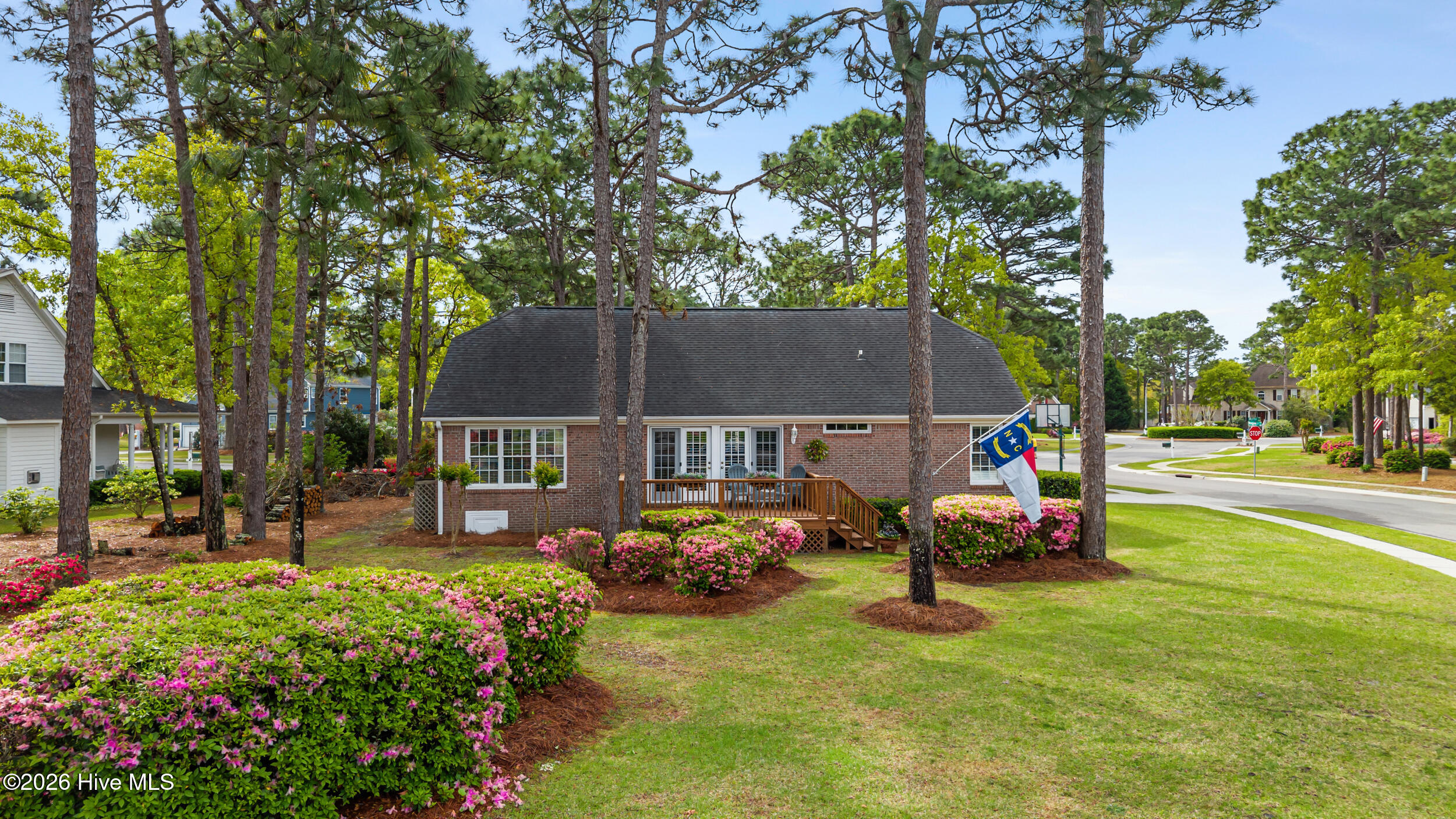 100566645 | Photo 34