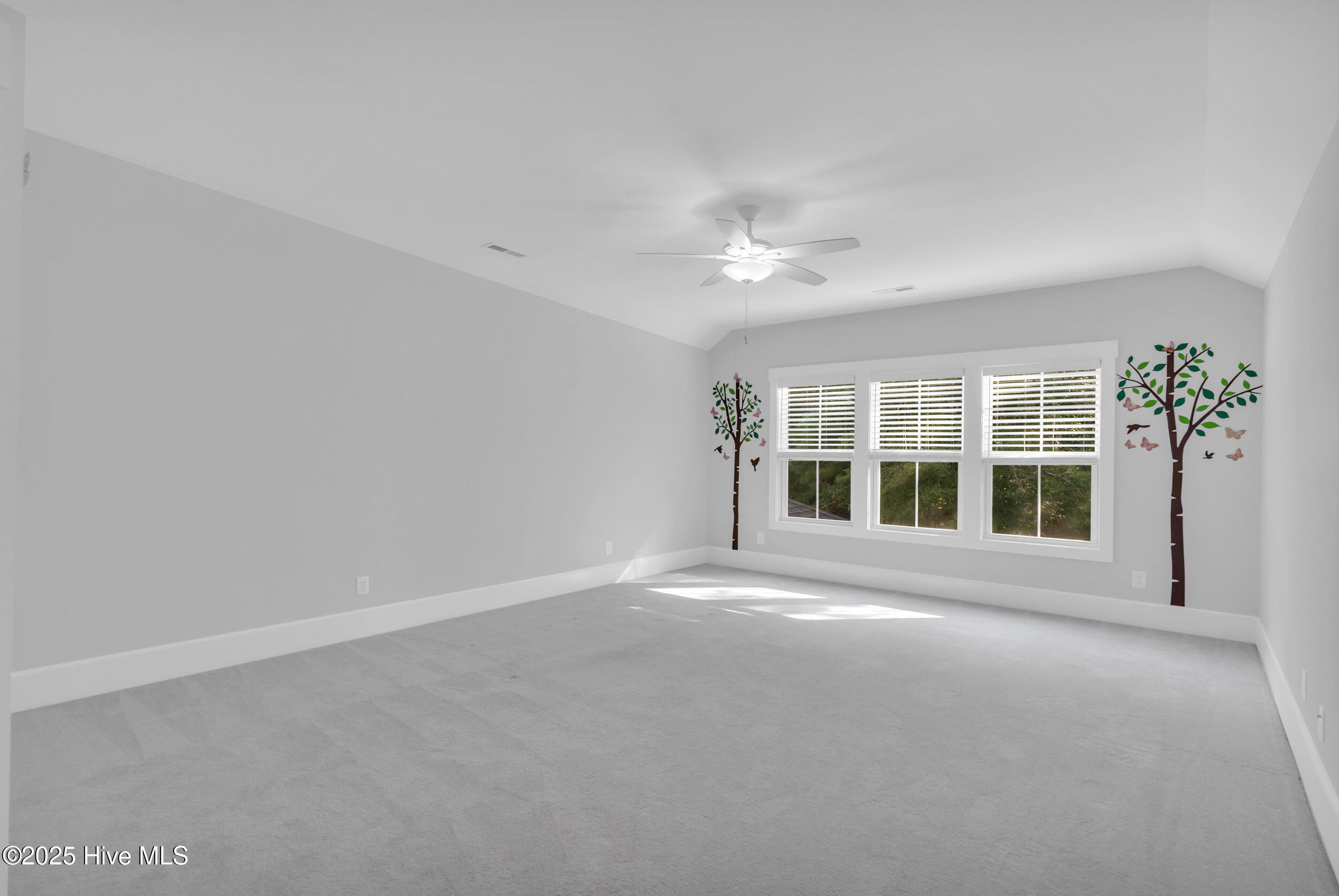 100535117 | Photo 33