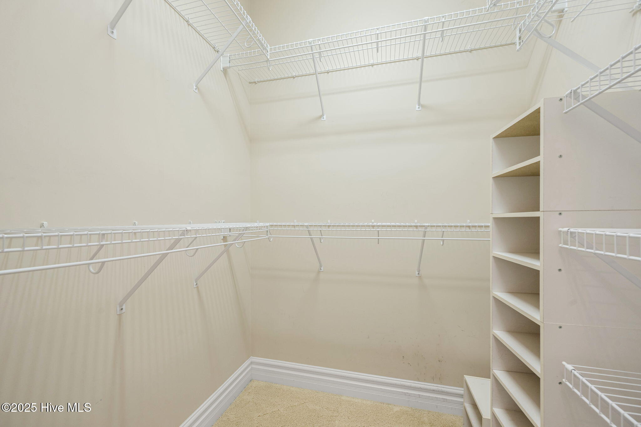 100546164 | Photo 20