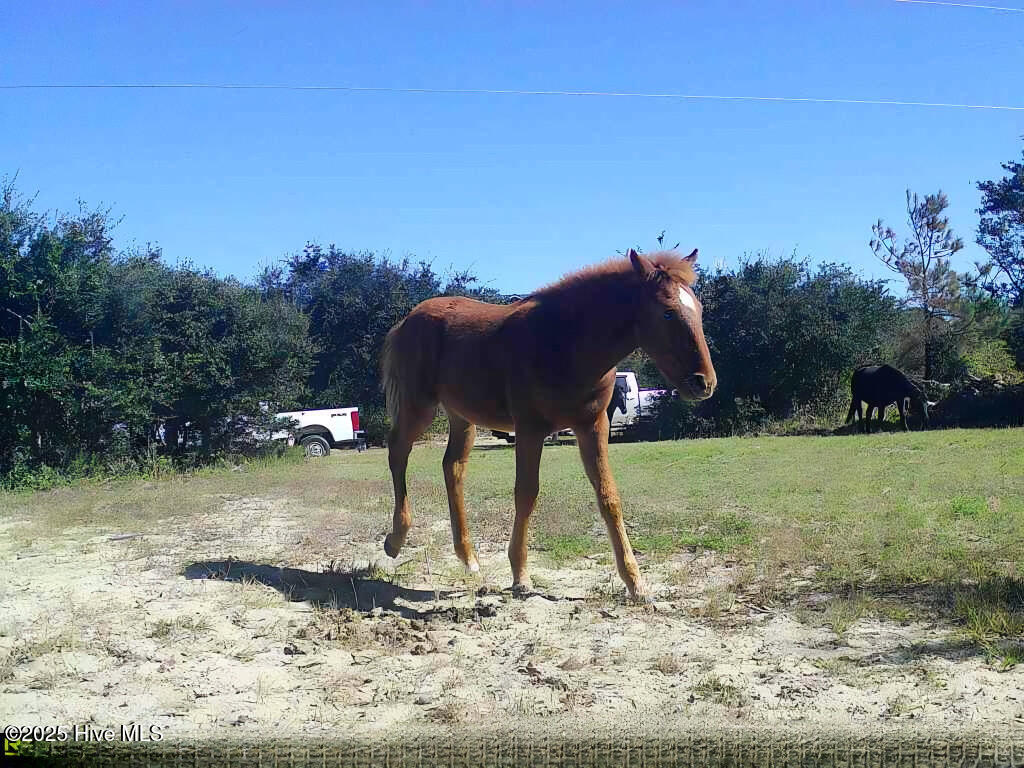 Homes for sale in Corolla, NC | 2126 Sandpiper Rd, Corolla, NC 27927 | MLS# 100539004