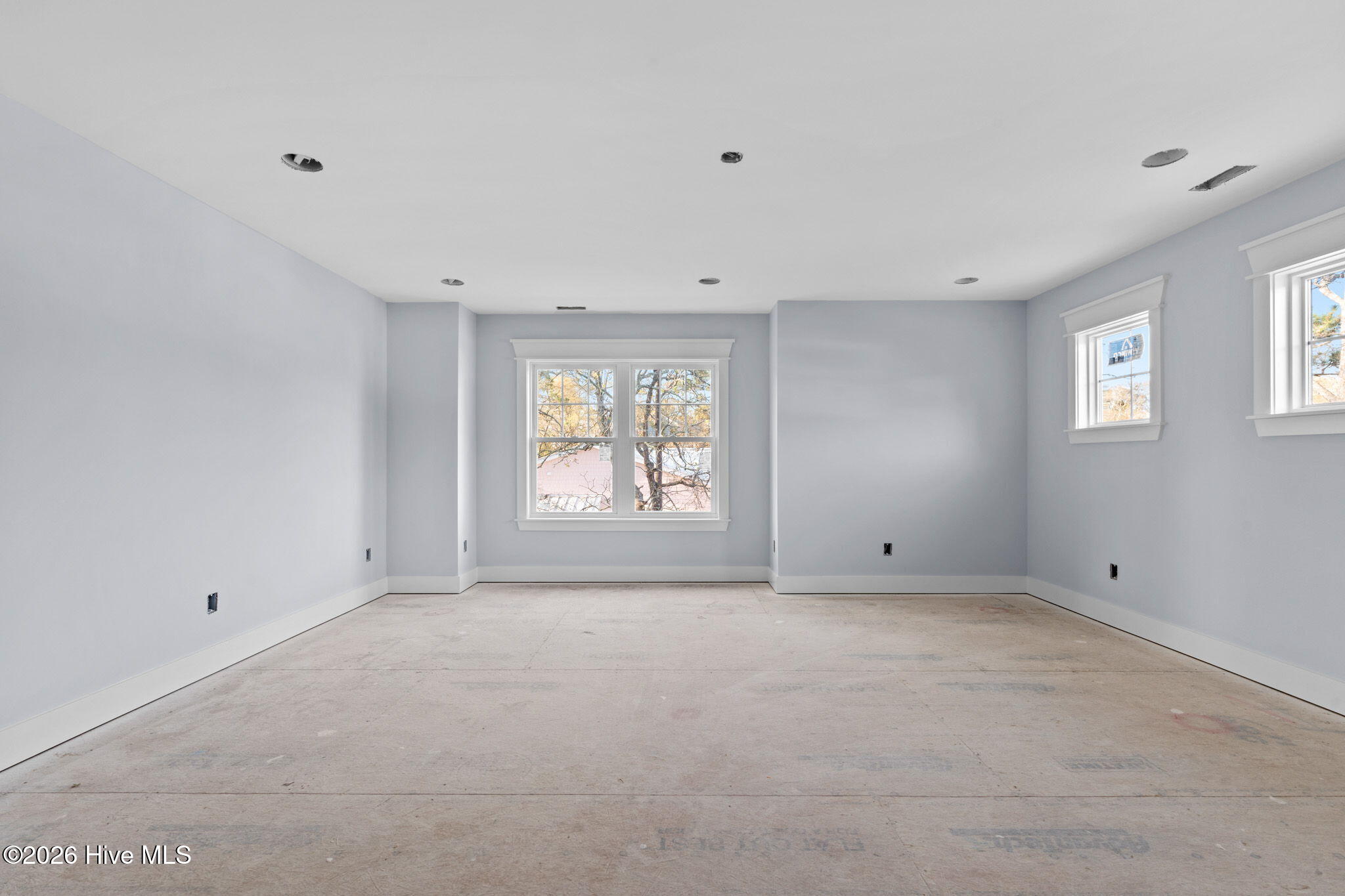 100546665 | Photo 11