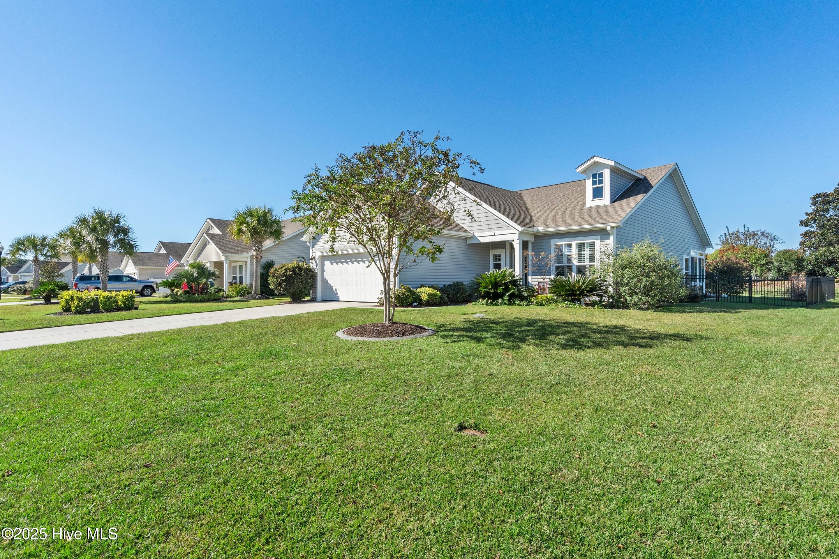 100537197 | Photo 46