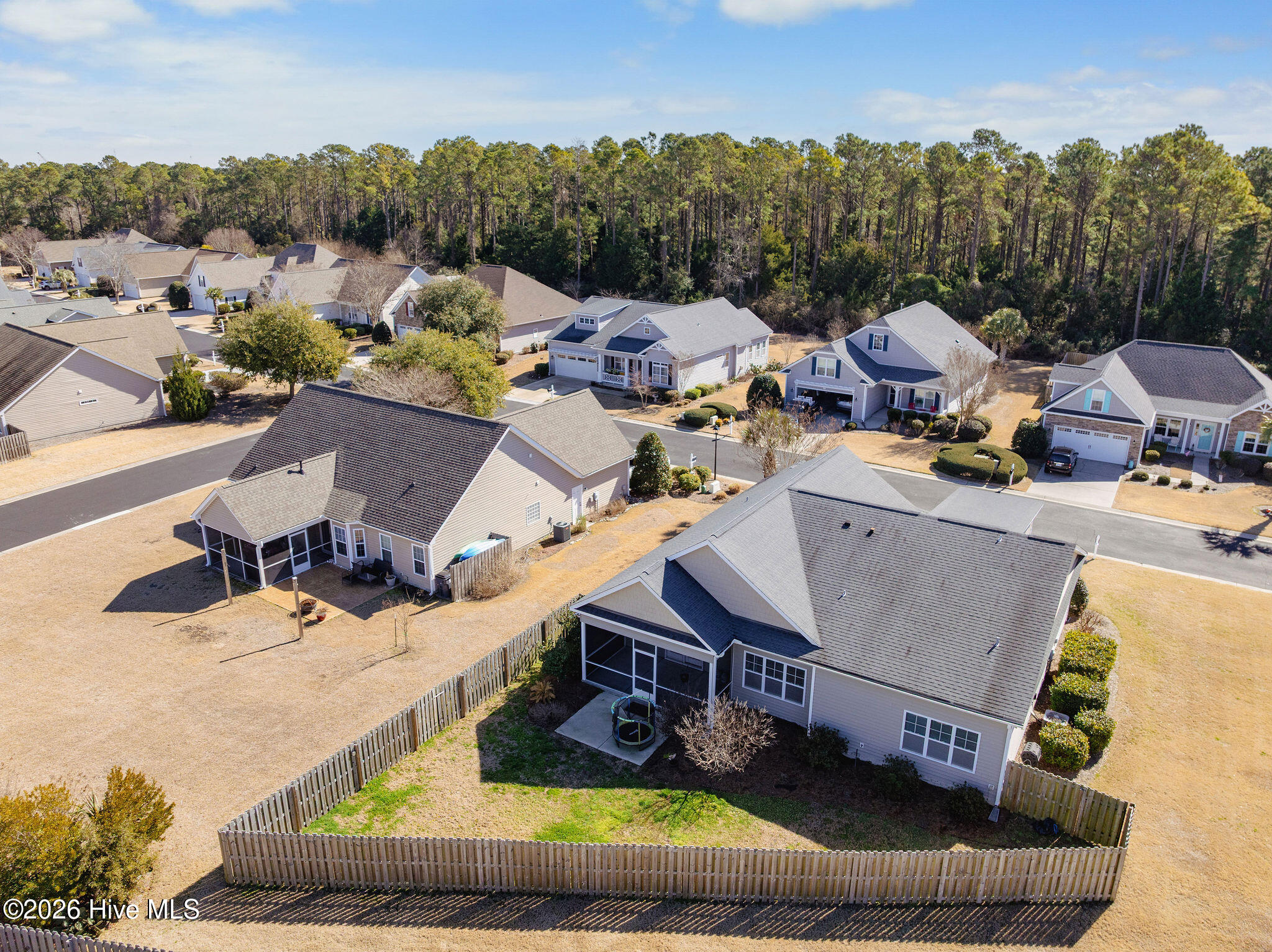 100554608 | Photo 50